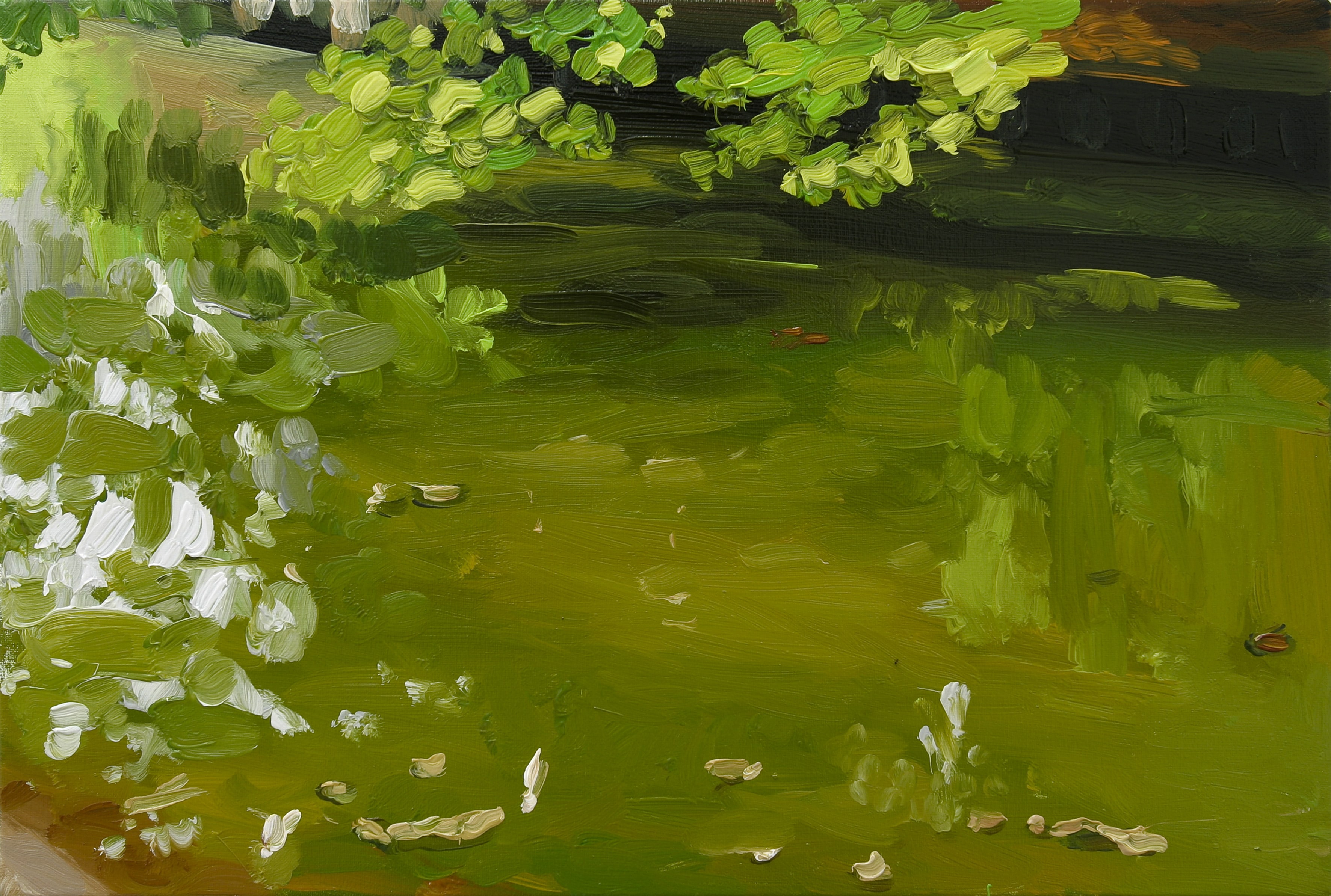 Reflections image from 2004