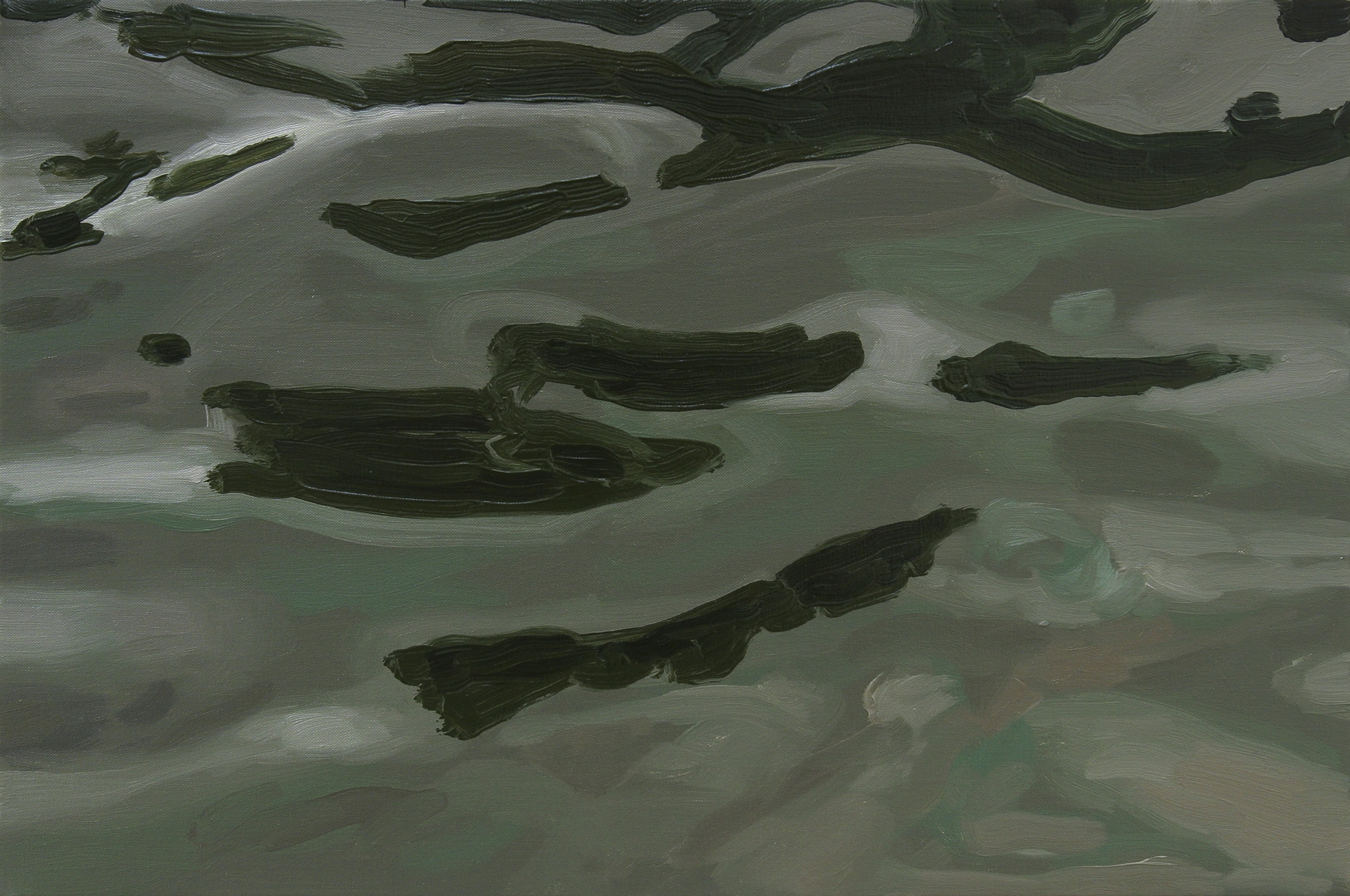 Reflections image from 2004