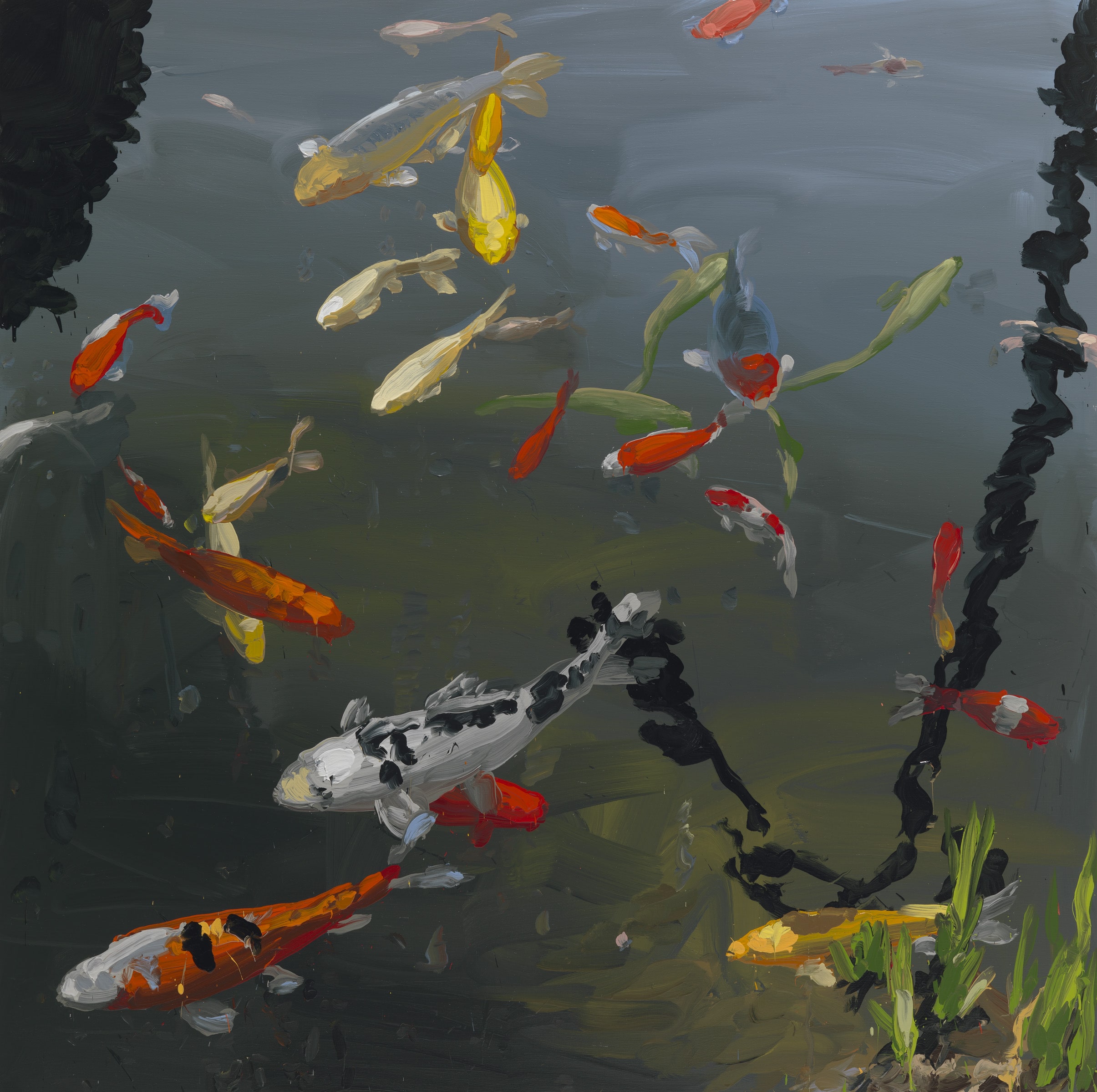 Koi image from 2013
