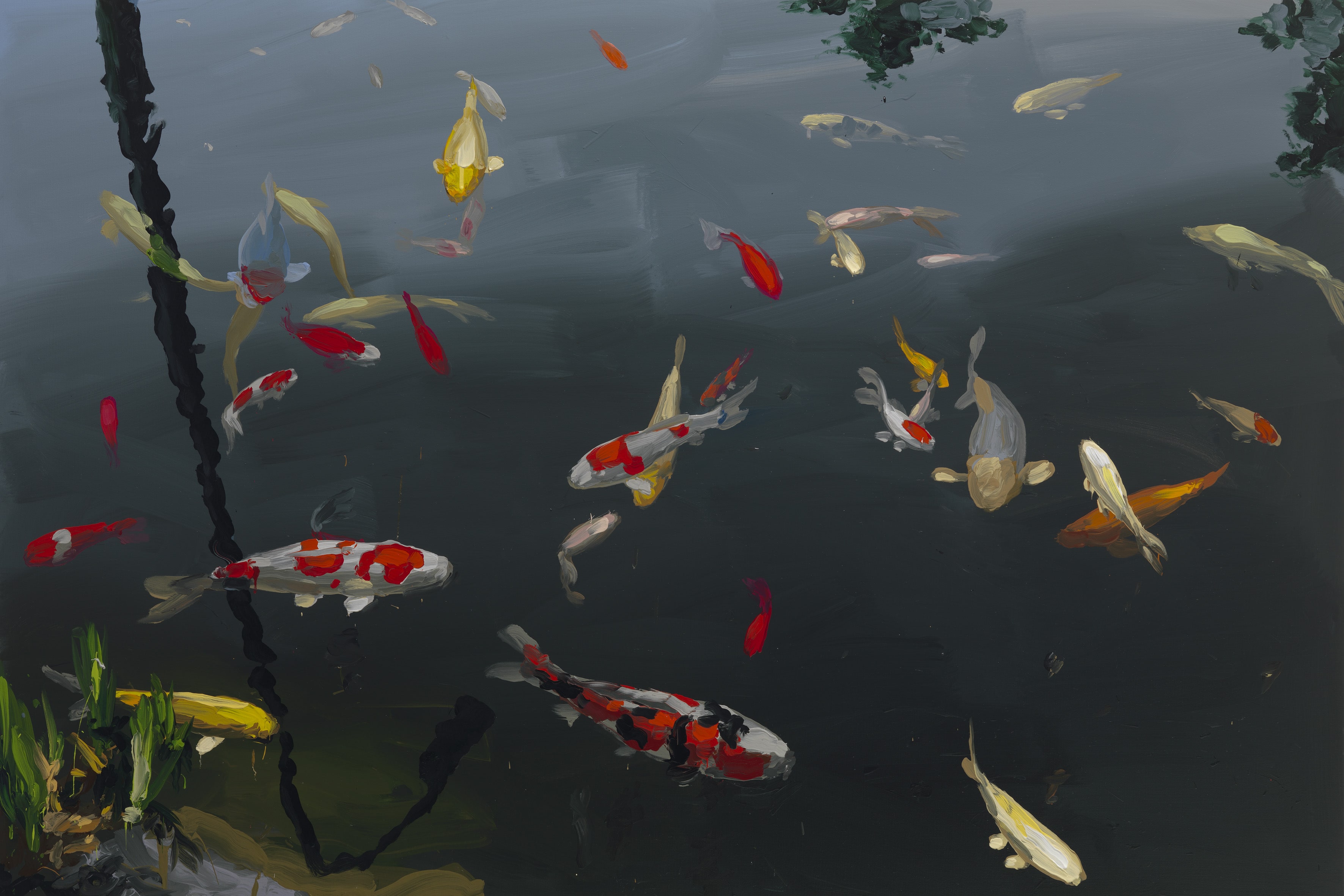 Koi image from 2013