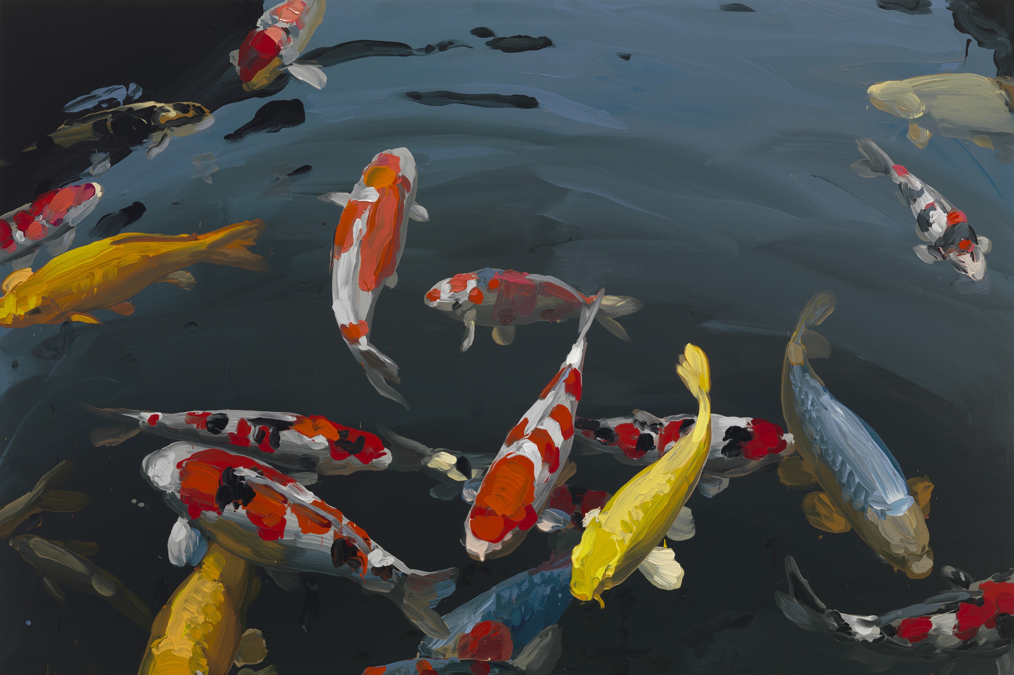 Koi image from 2013