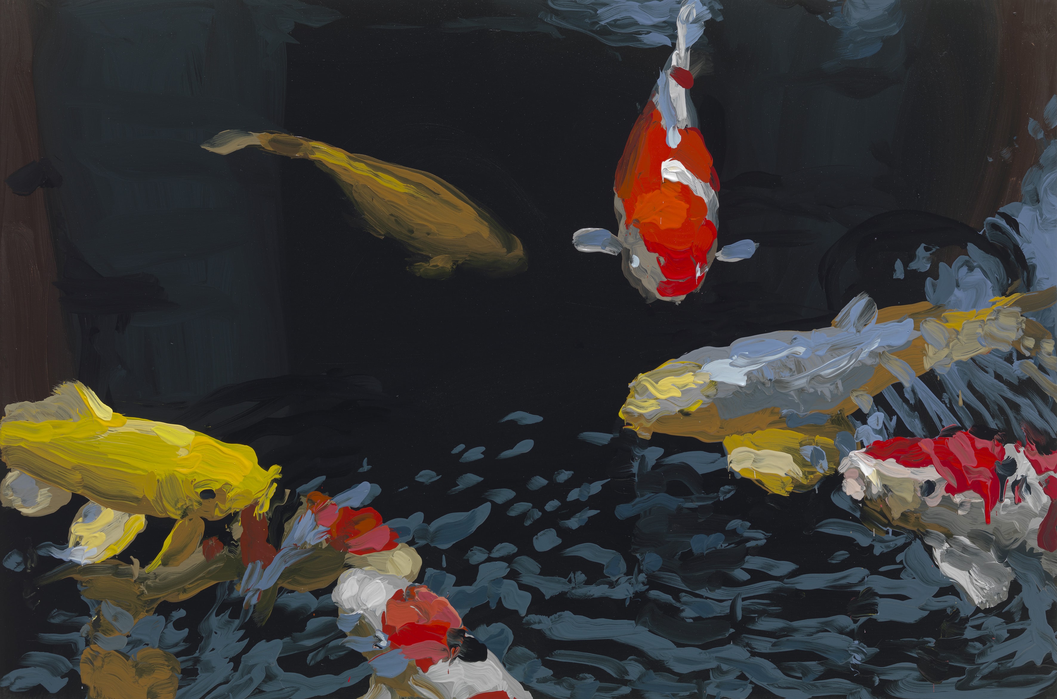 Koi image from 2013