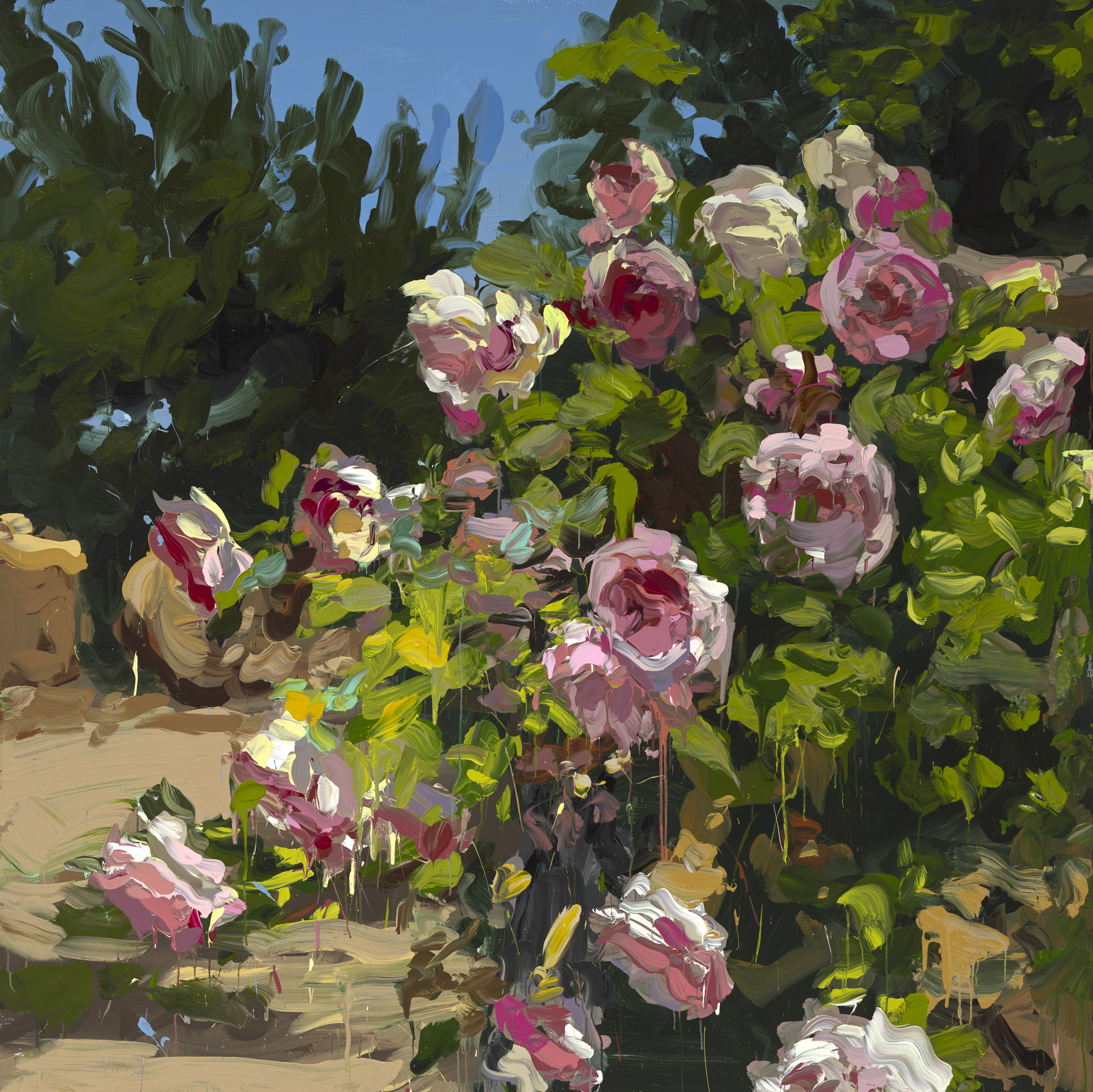 Roses image from 2022
