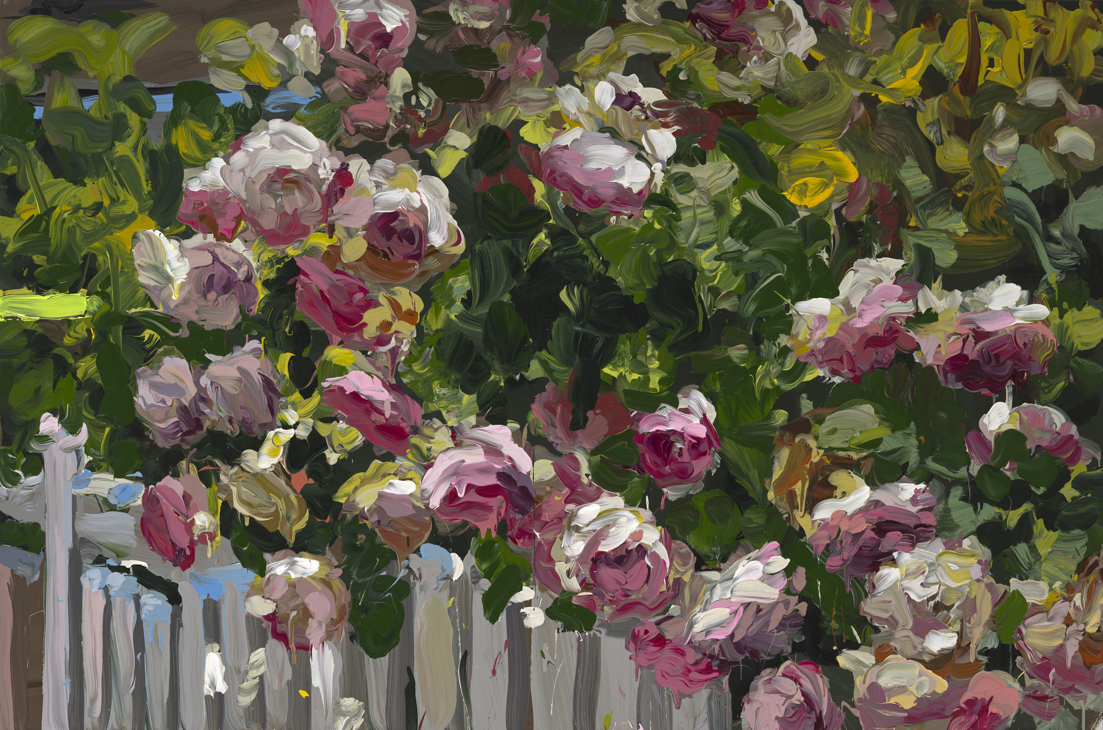 Roses image from 2022