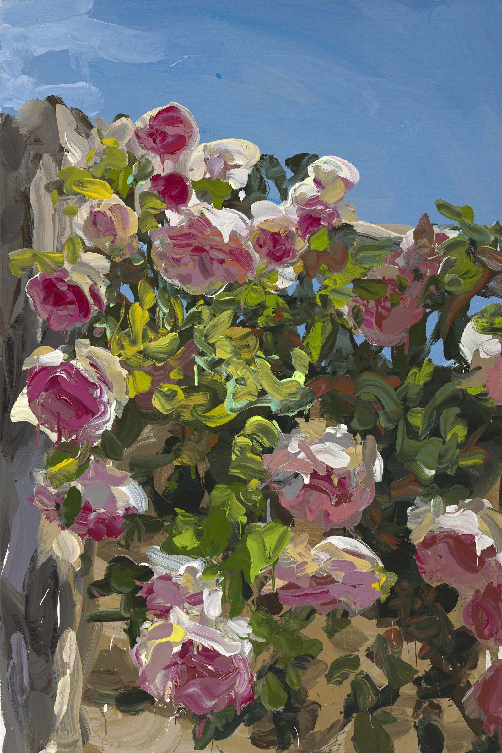 Roses image from 2022