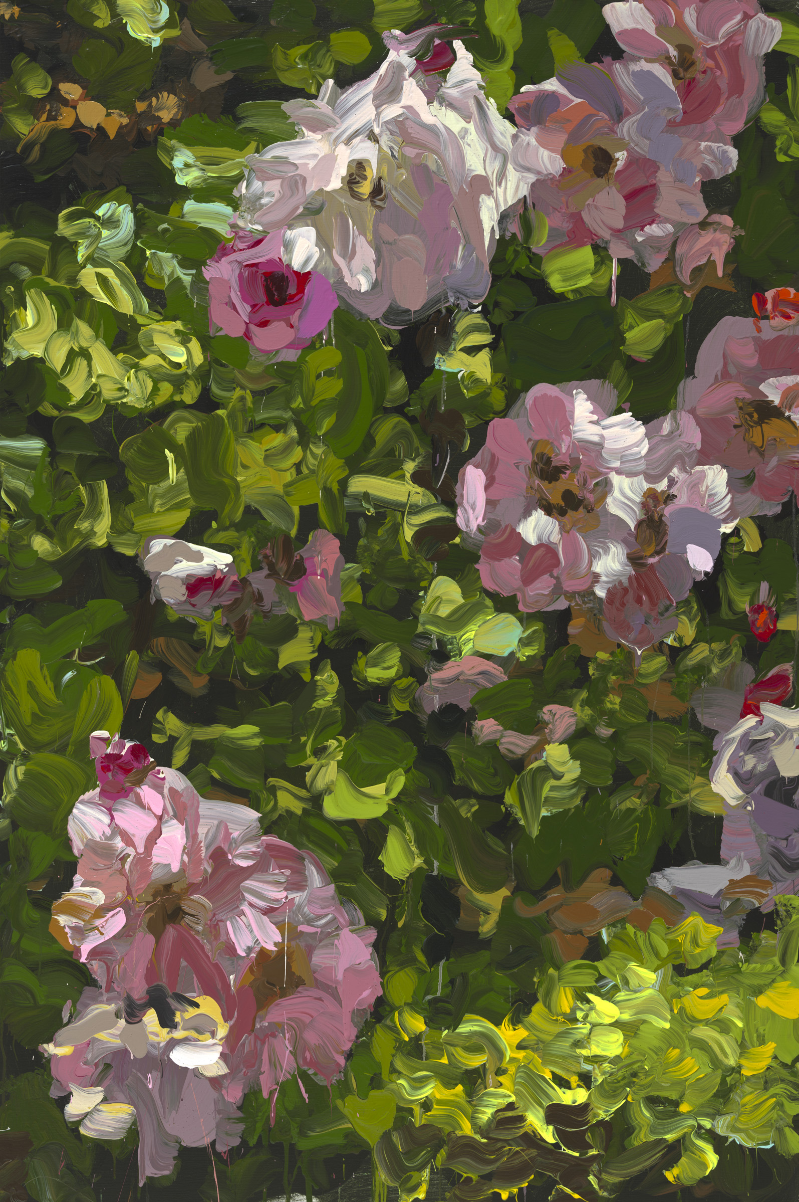 Roses image from 2022