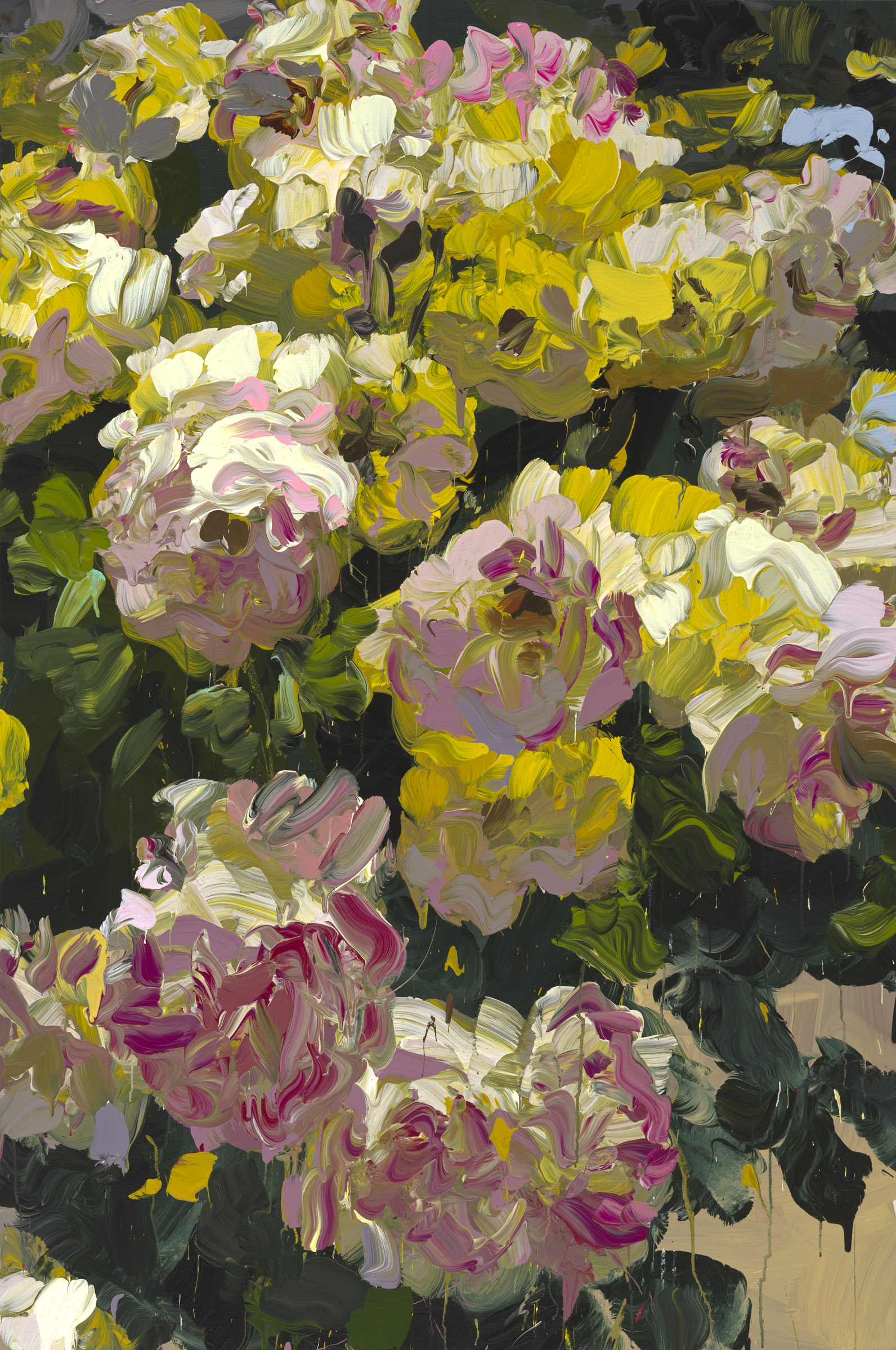 Roses image from 2022