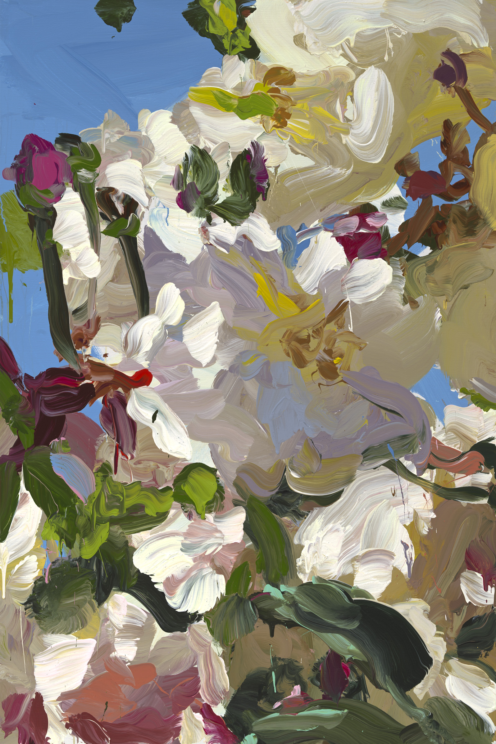 Roses image from 2022