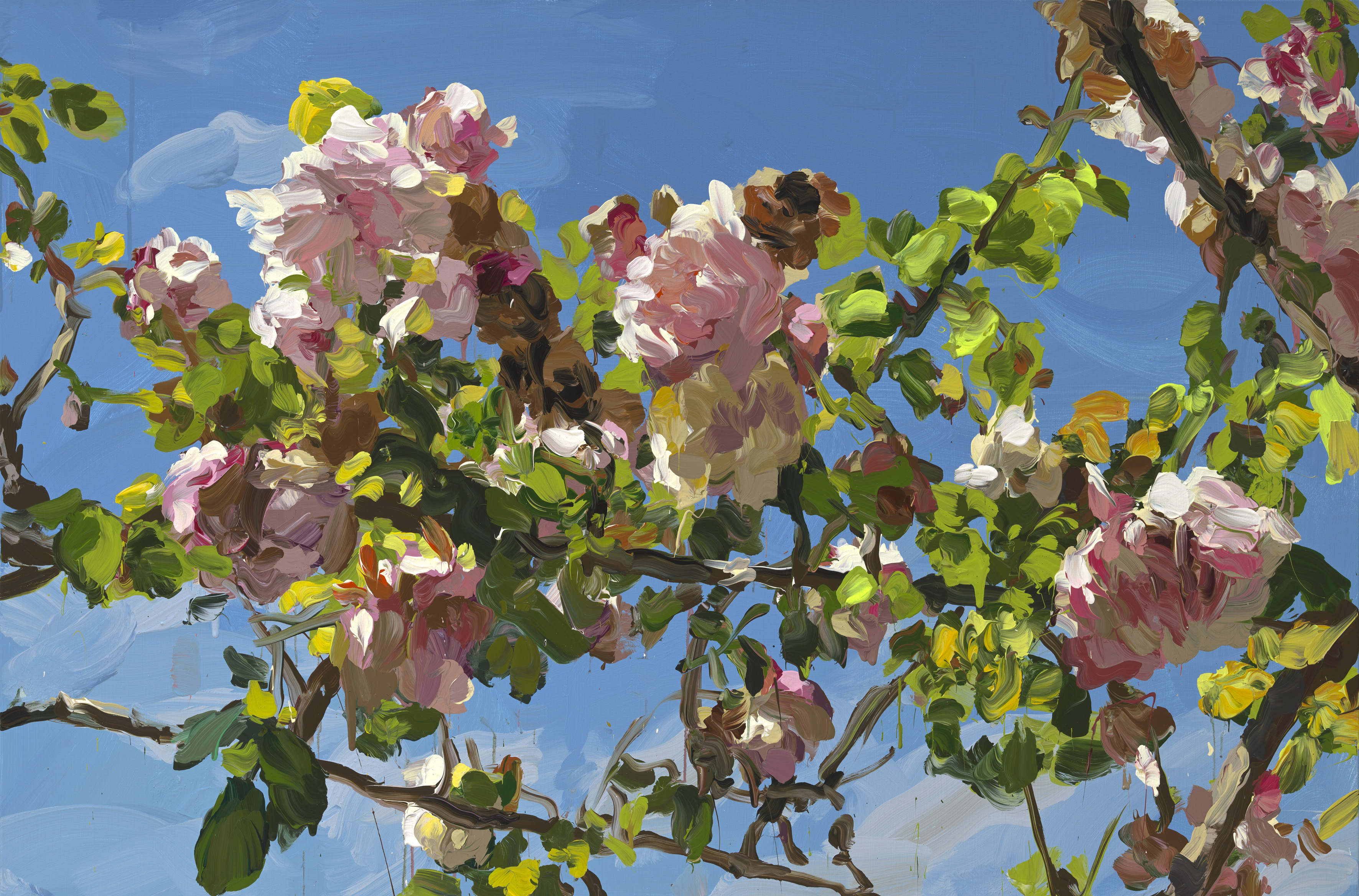 Roses image from 2022