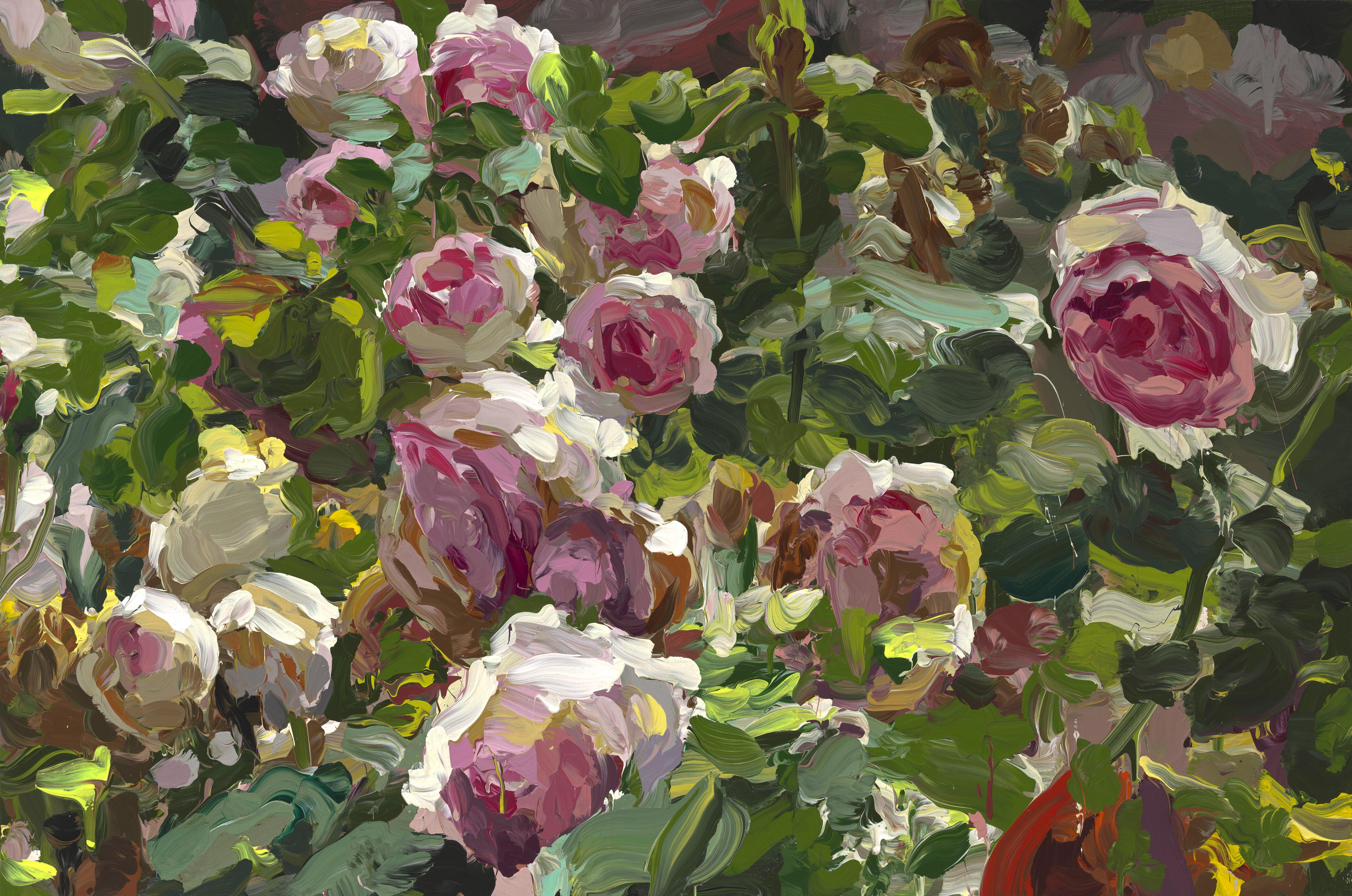 Roses image from 2022
