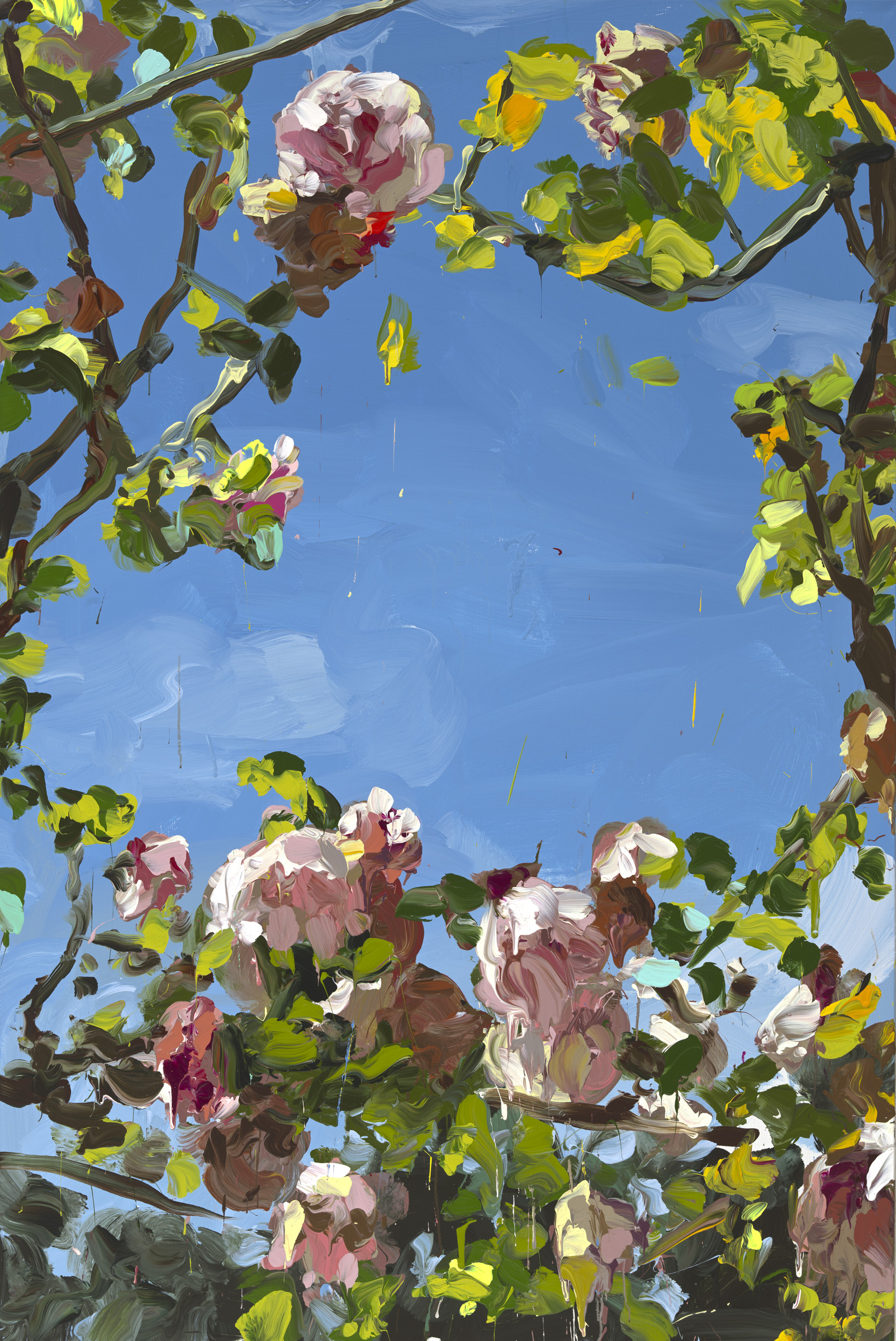 Roses image from 2022