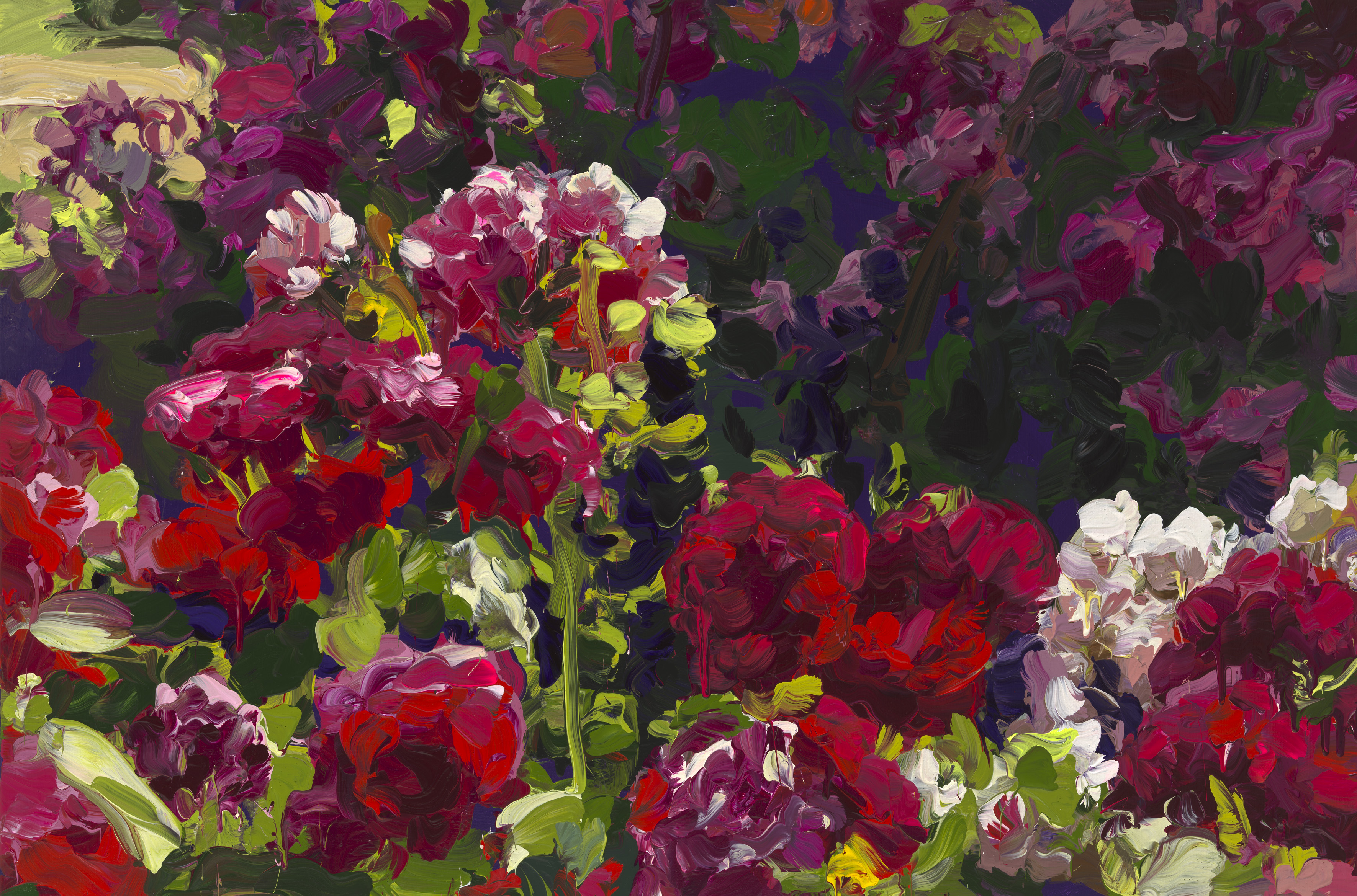 Roses image from 2022