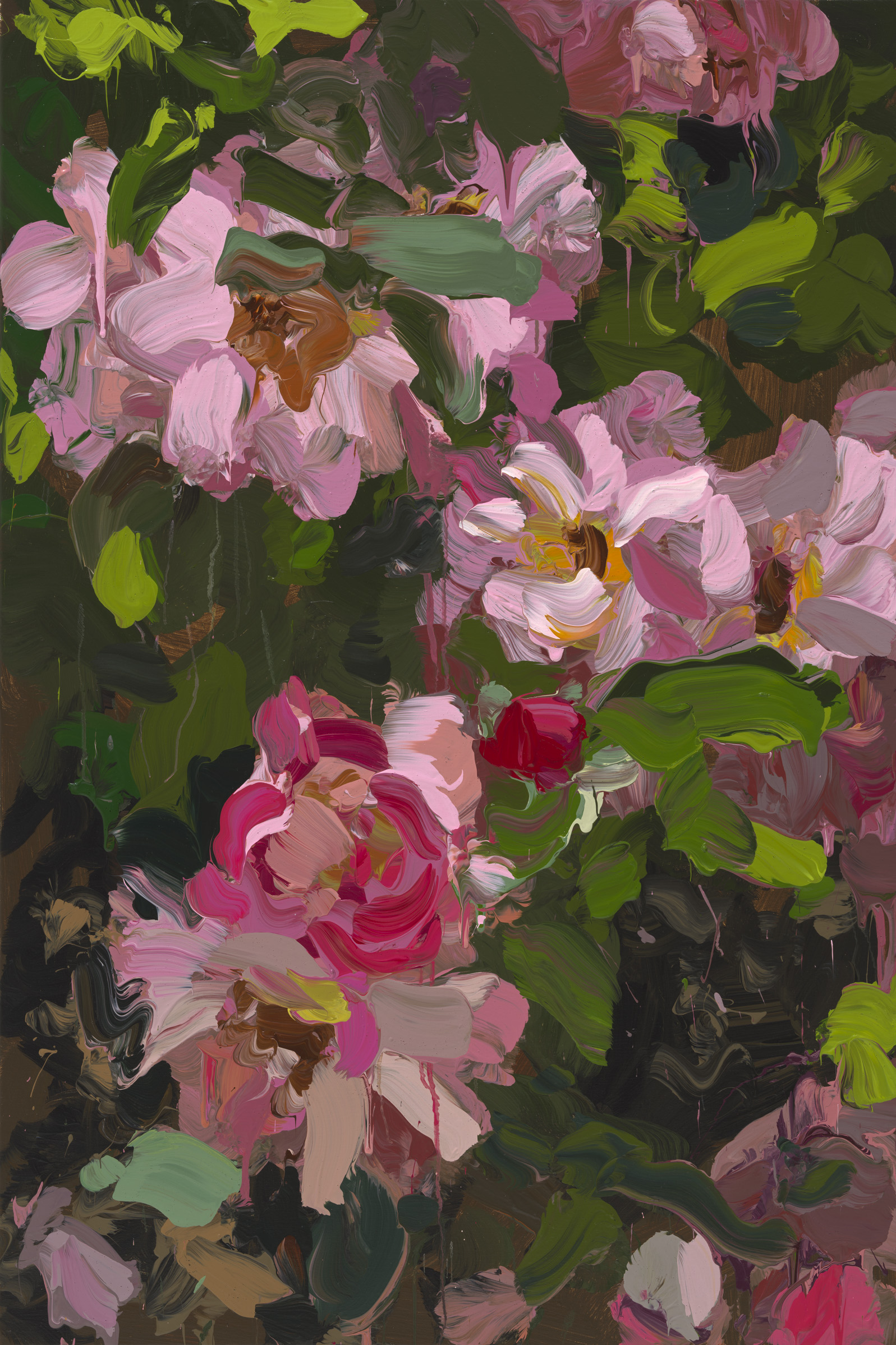 Roses image from 2022