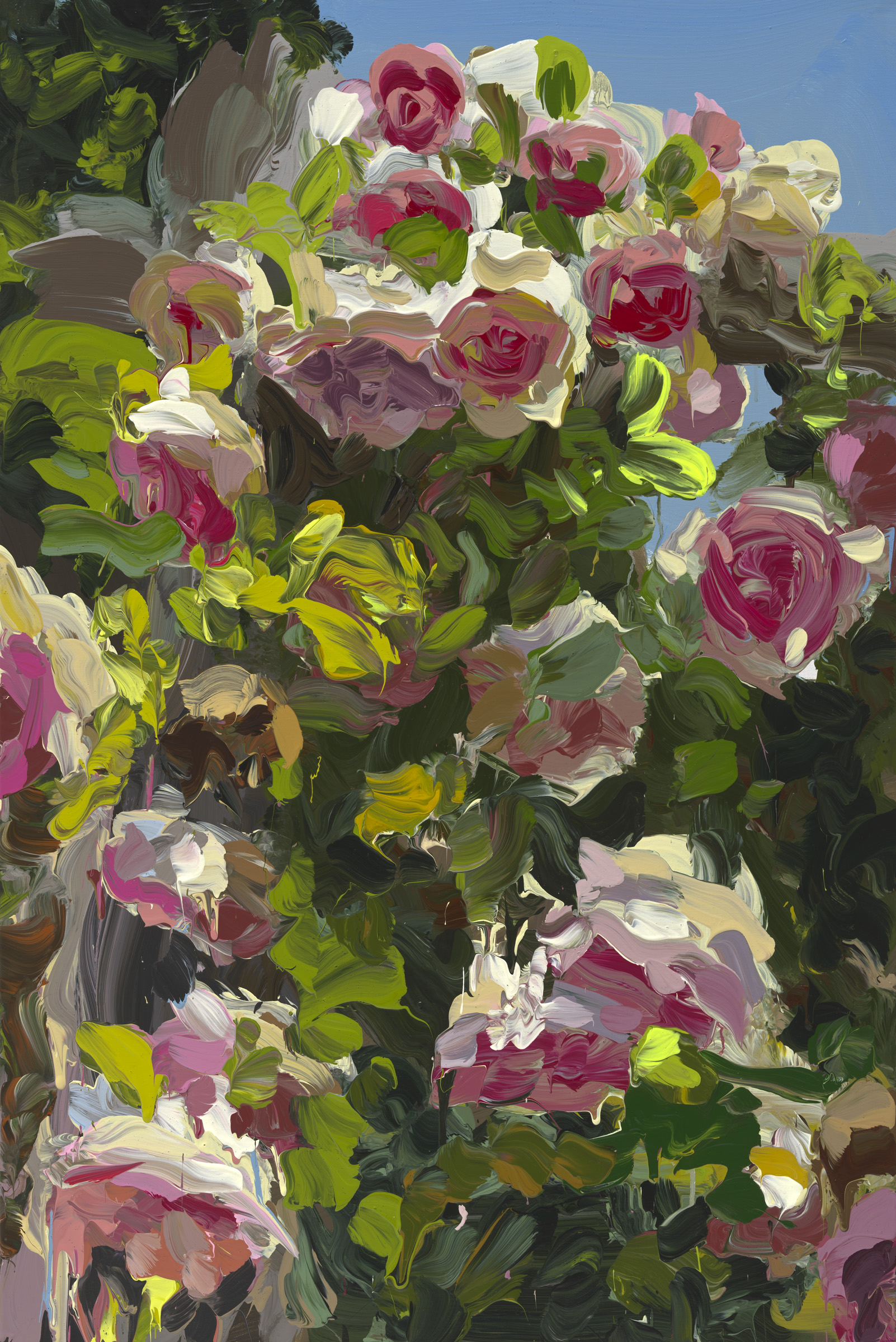 Roses image from 2022