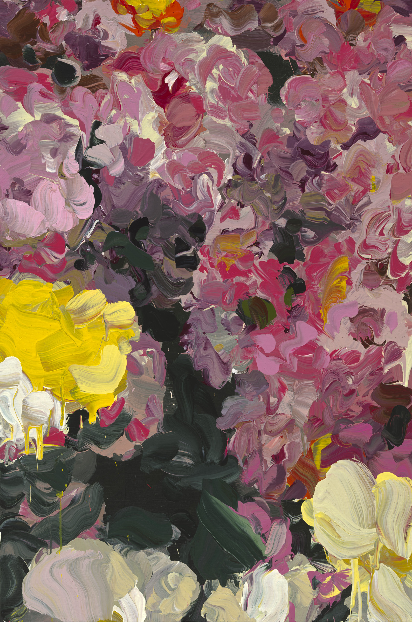 Roses image from 2022