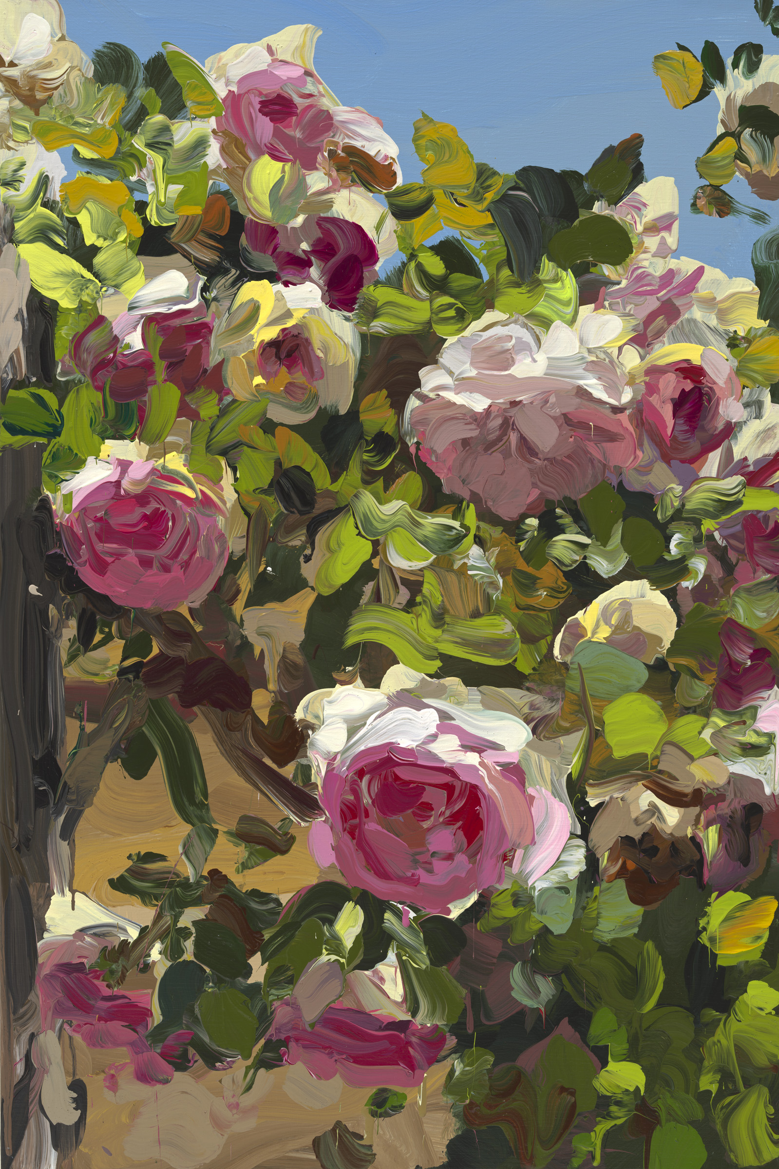 Roses image from 2022