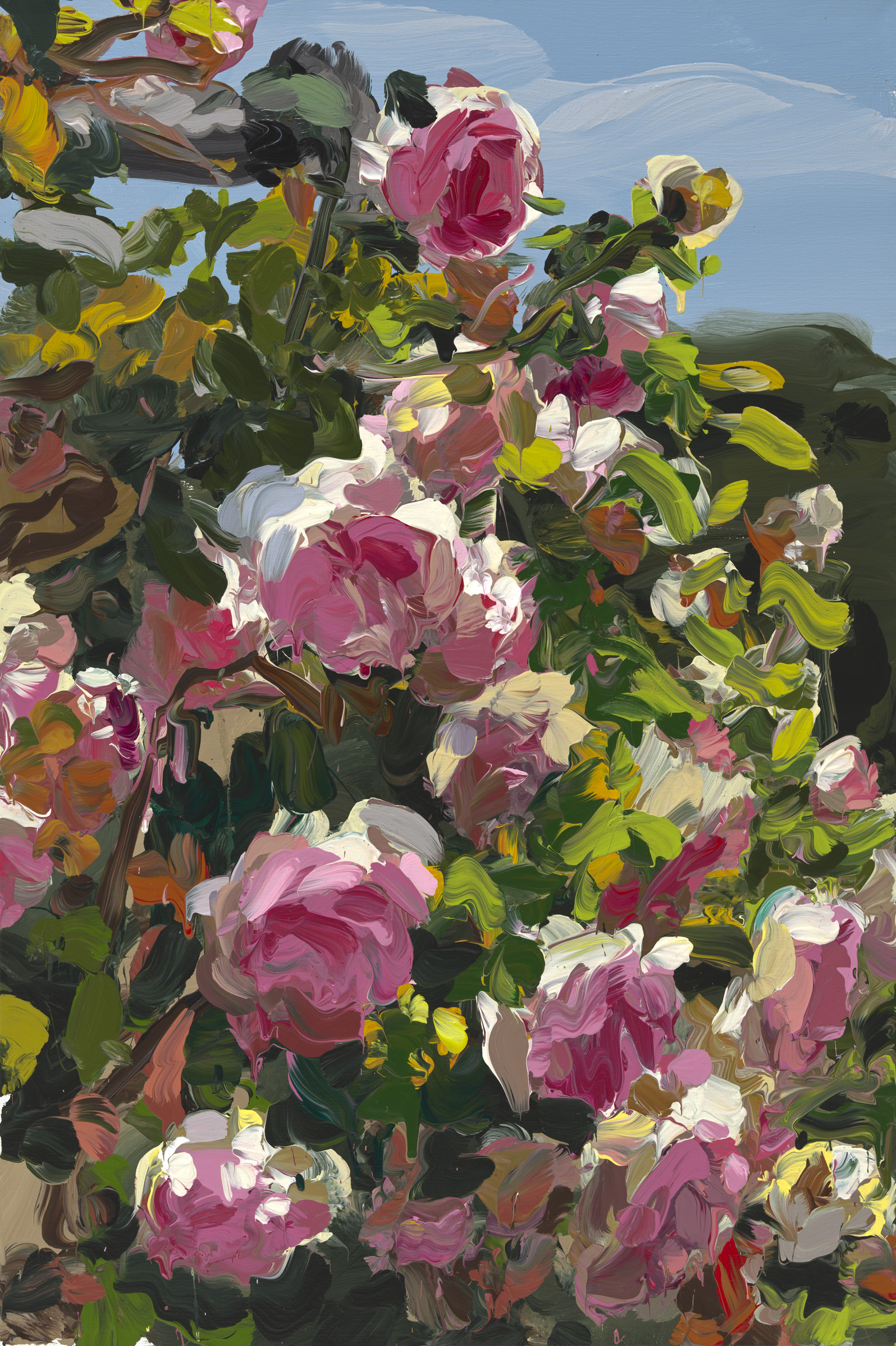 Roses image from 2022