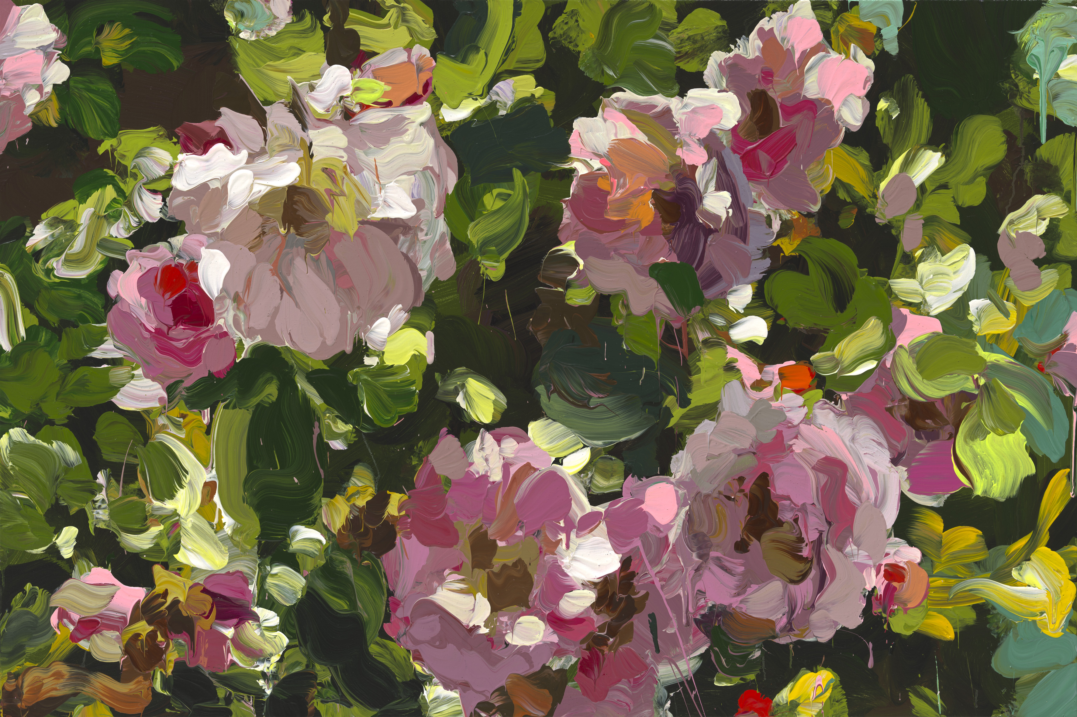 Roses image from 2022