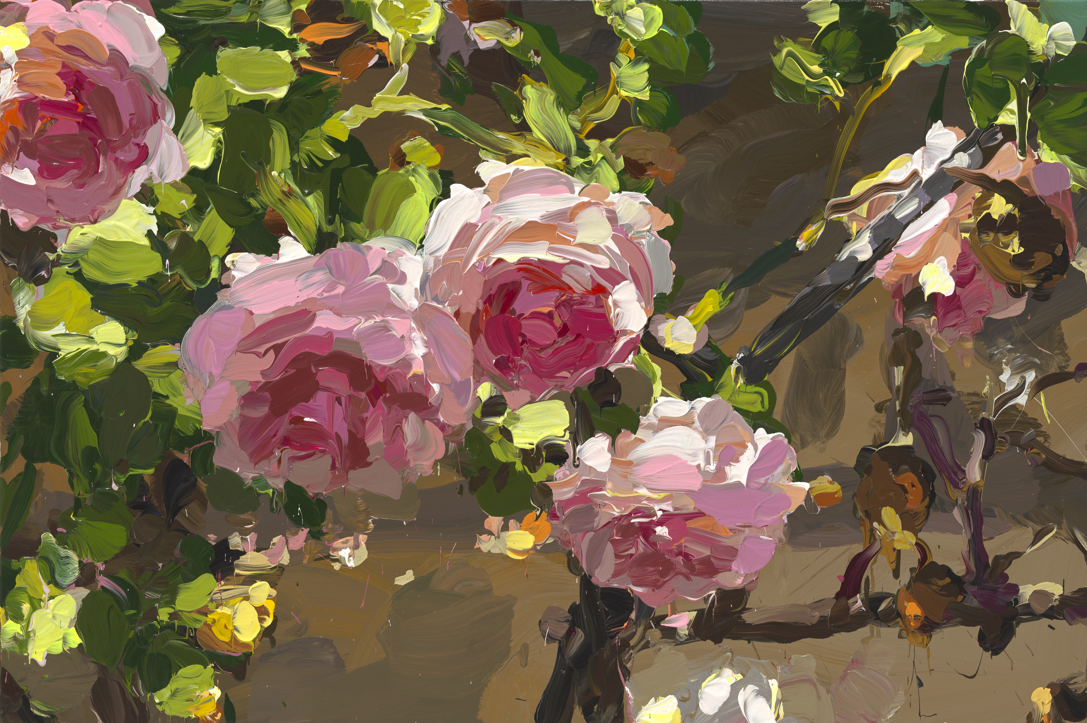 Roses image from 2022