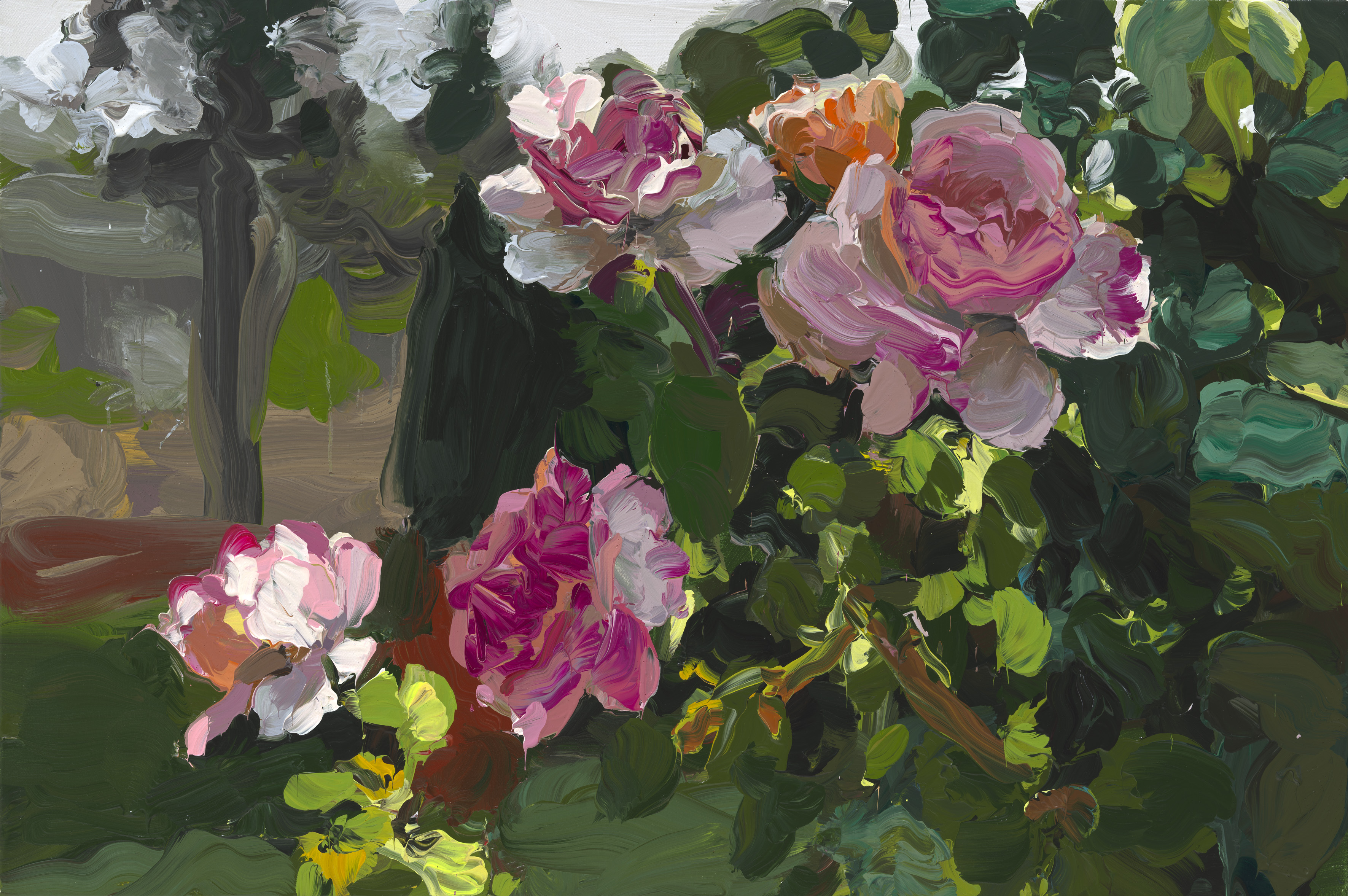 Roses image from 2022