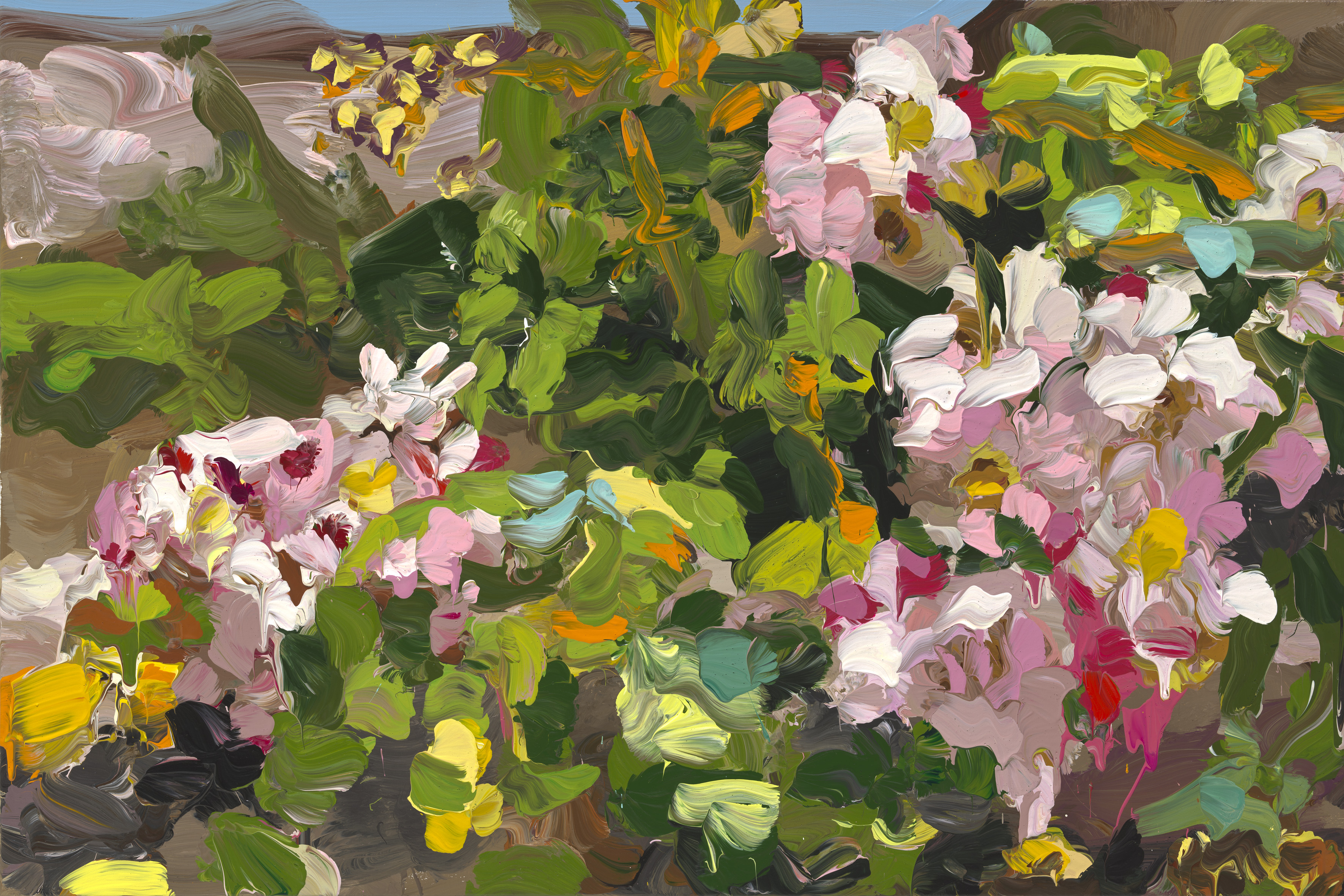 Roses image from 2022