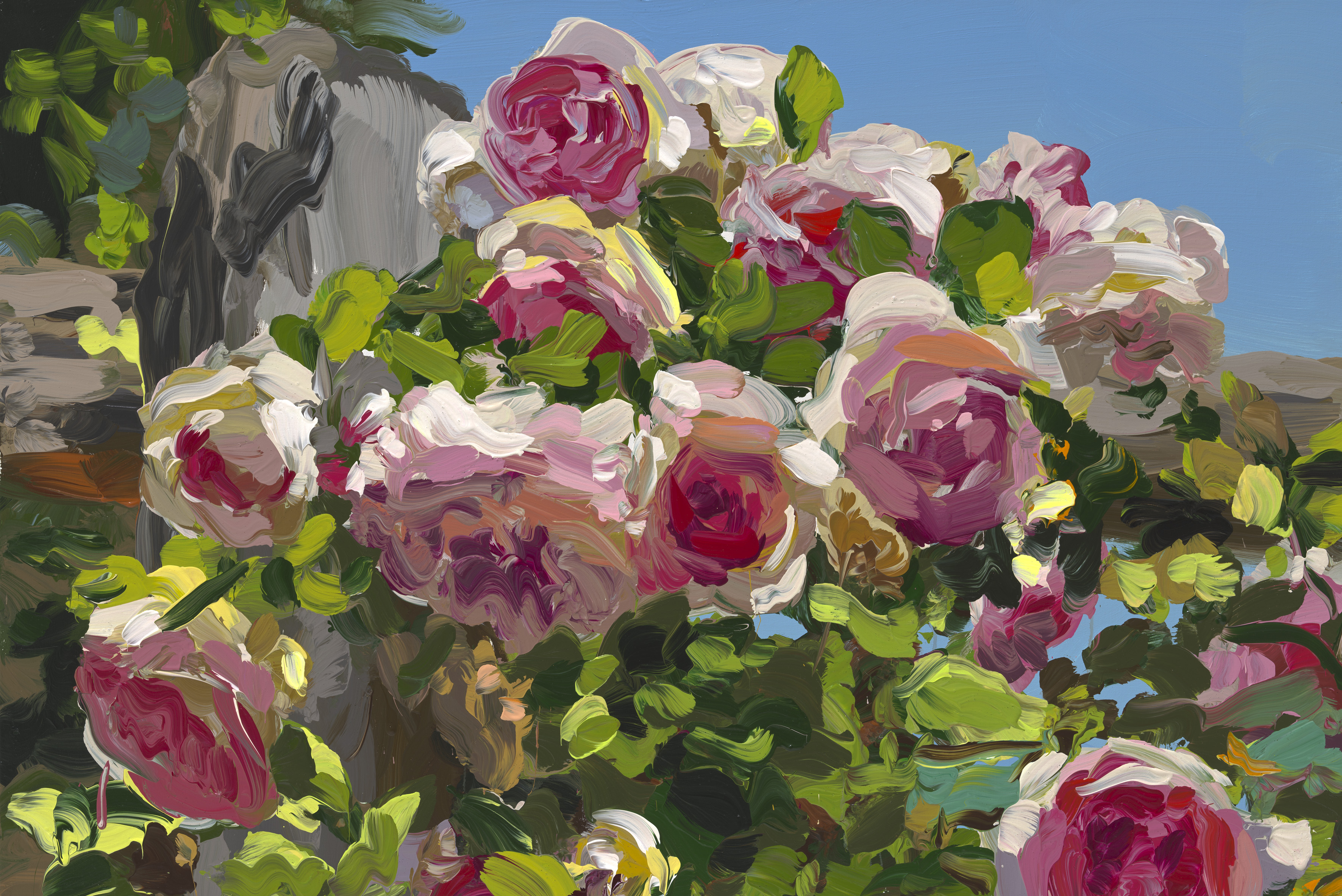 Roses image from 2022