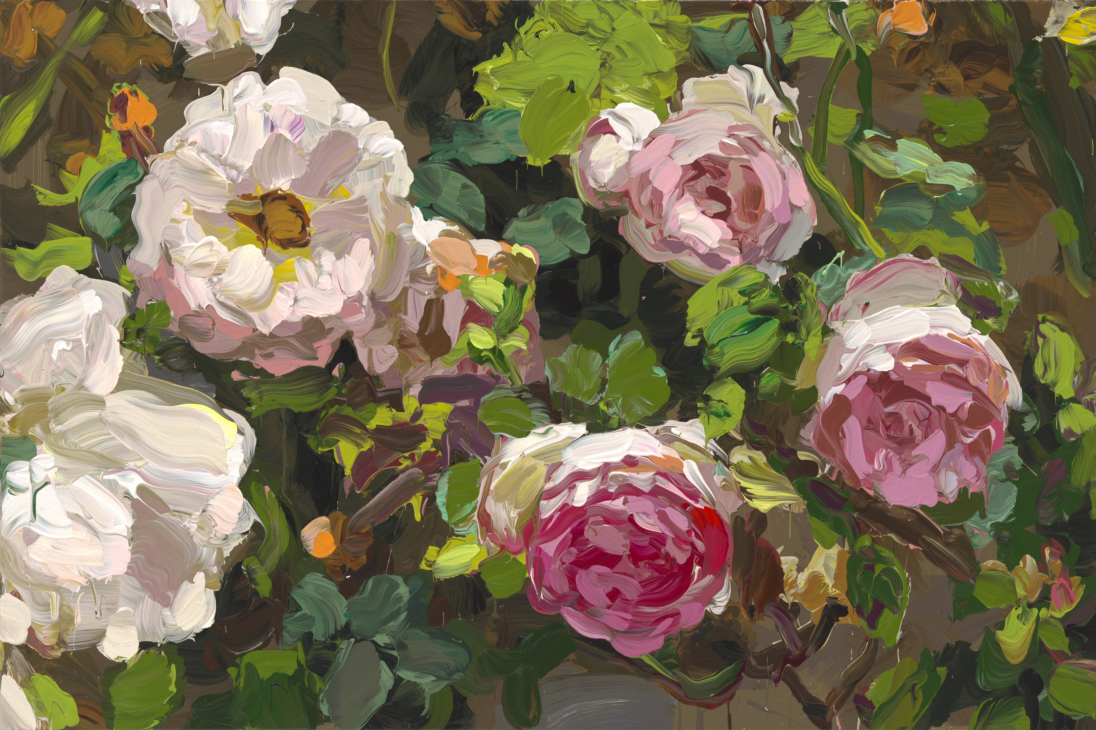 Roses image from 2022