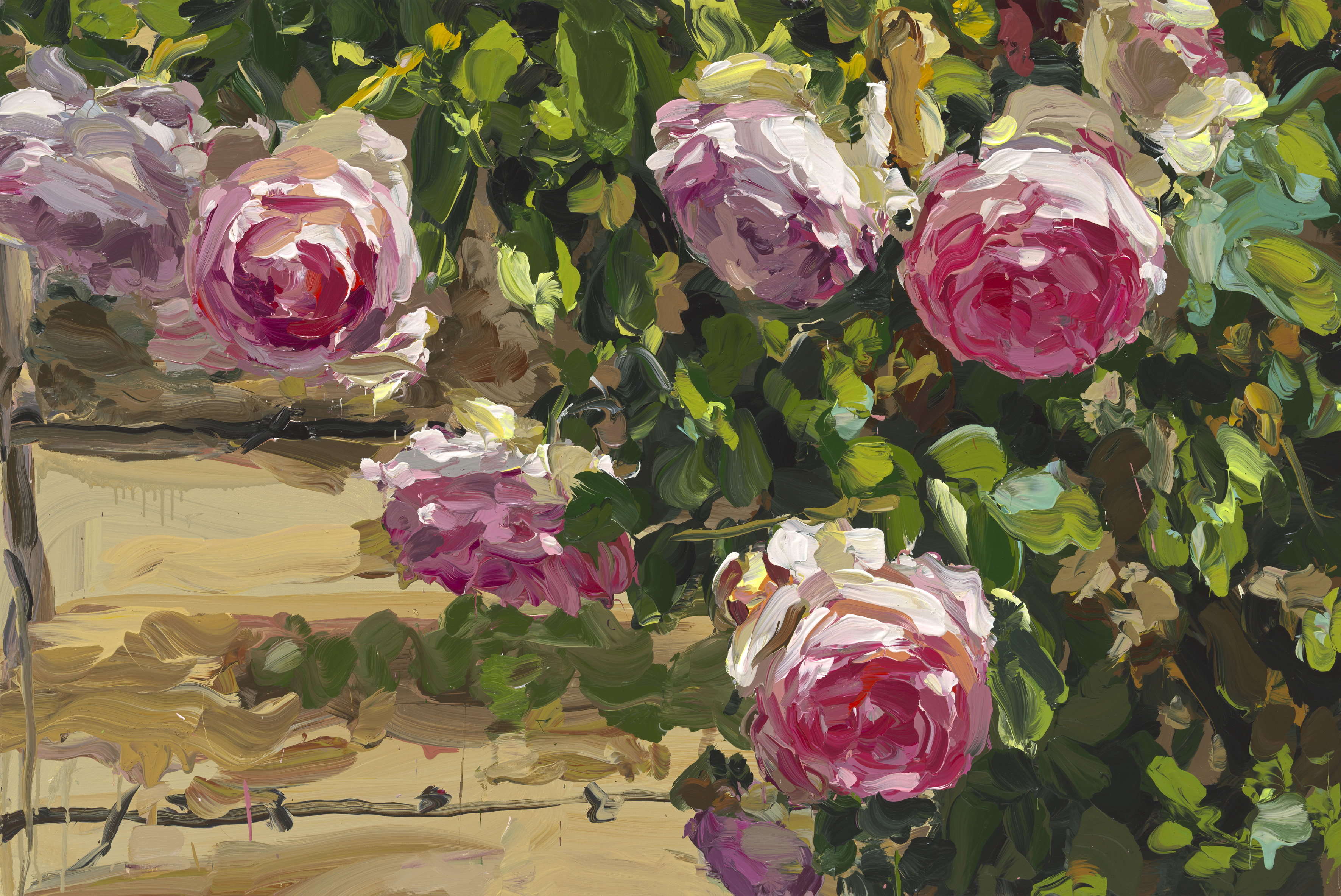 Roses image from 2022