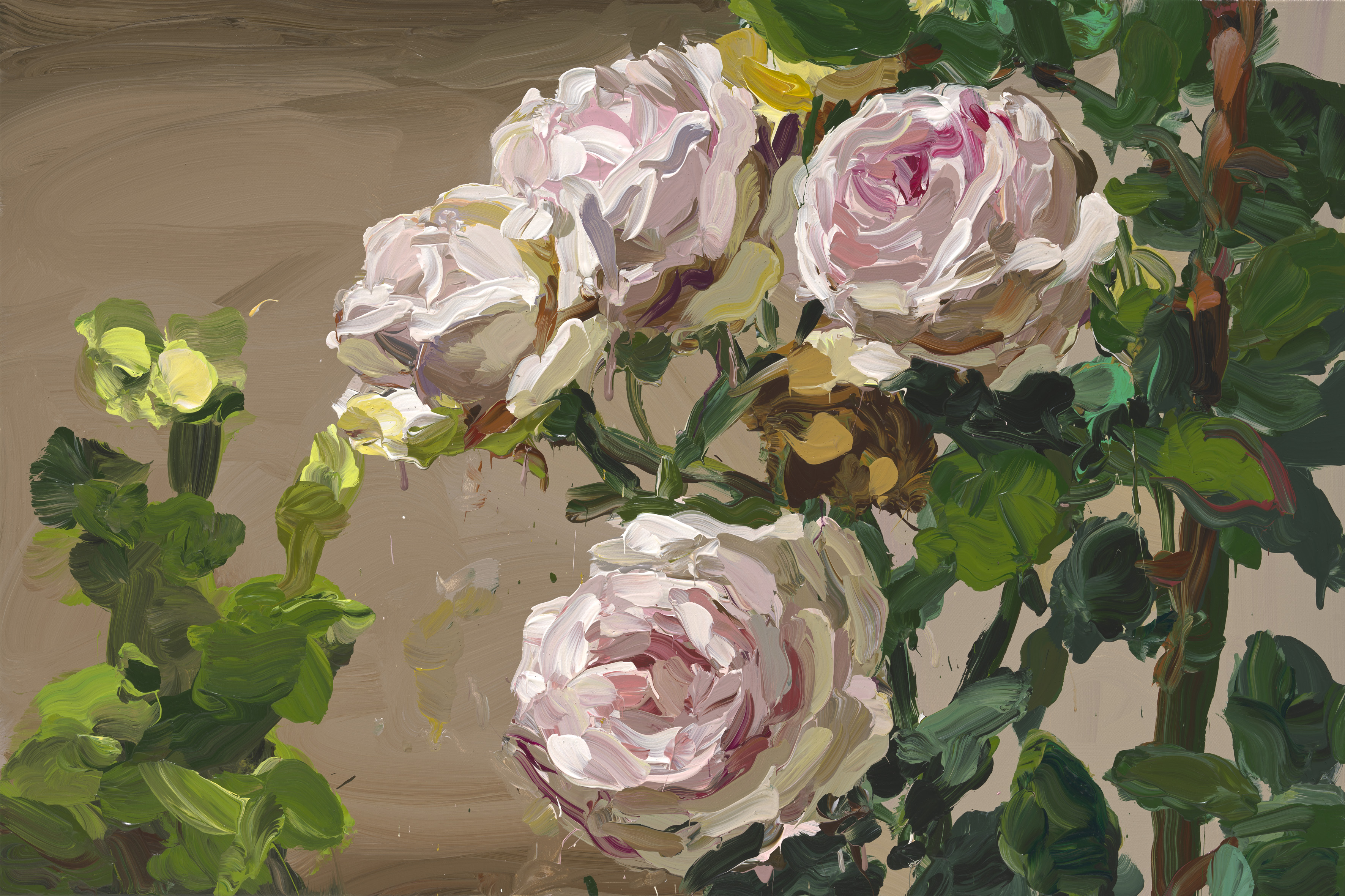 Roses image from 2022
