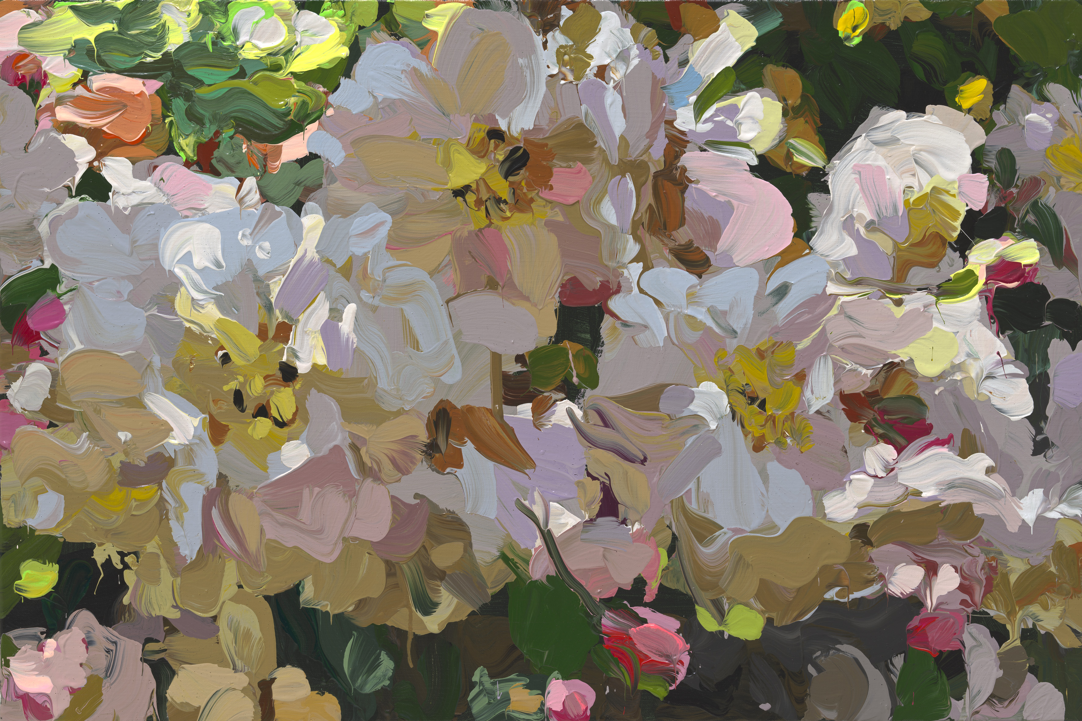 Roses image from 2022