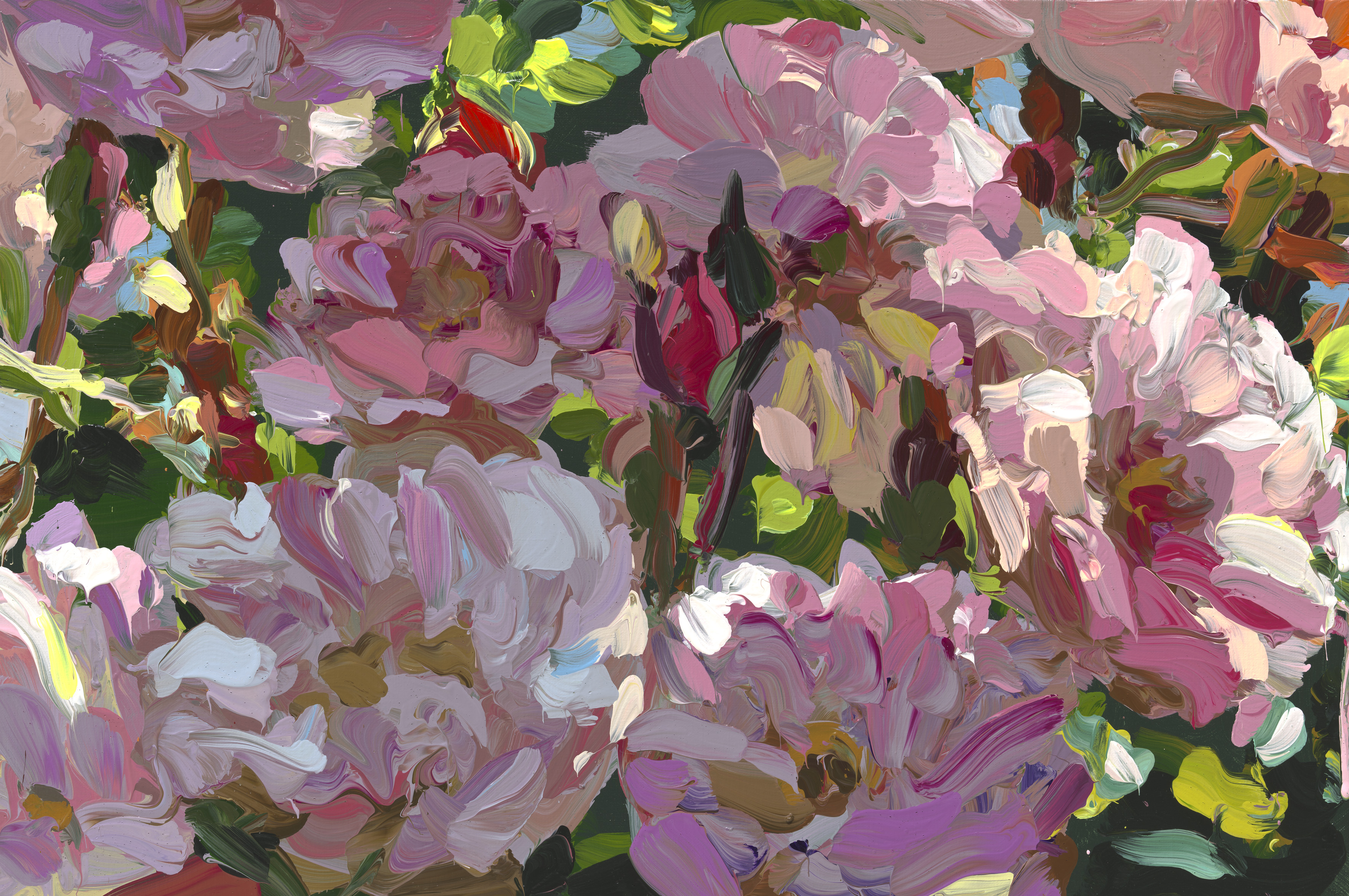 Roses image from 2022