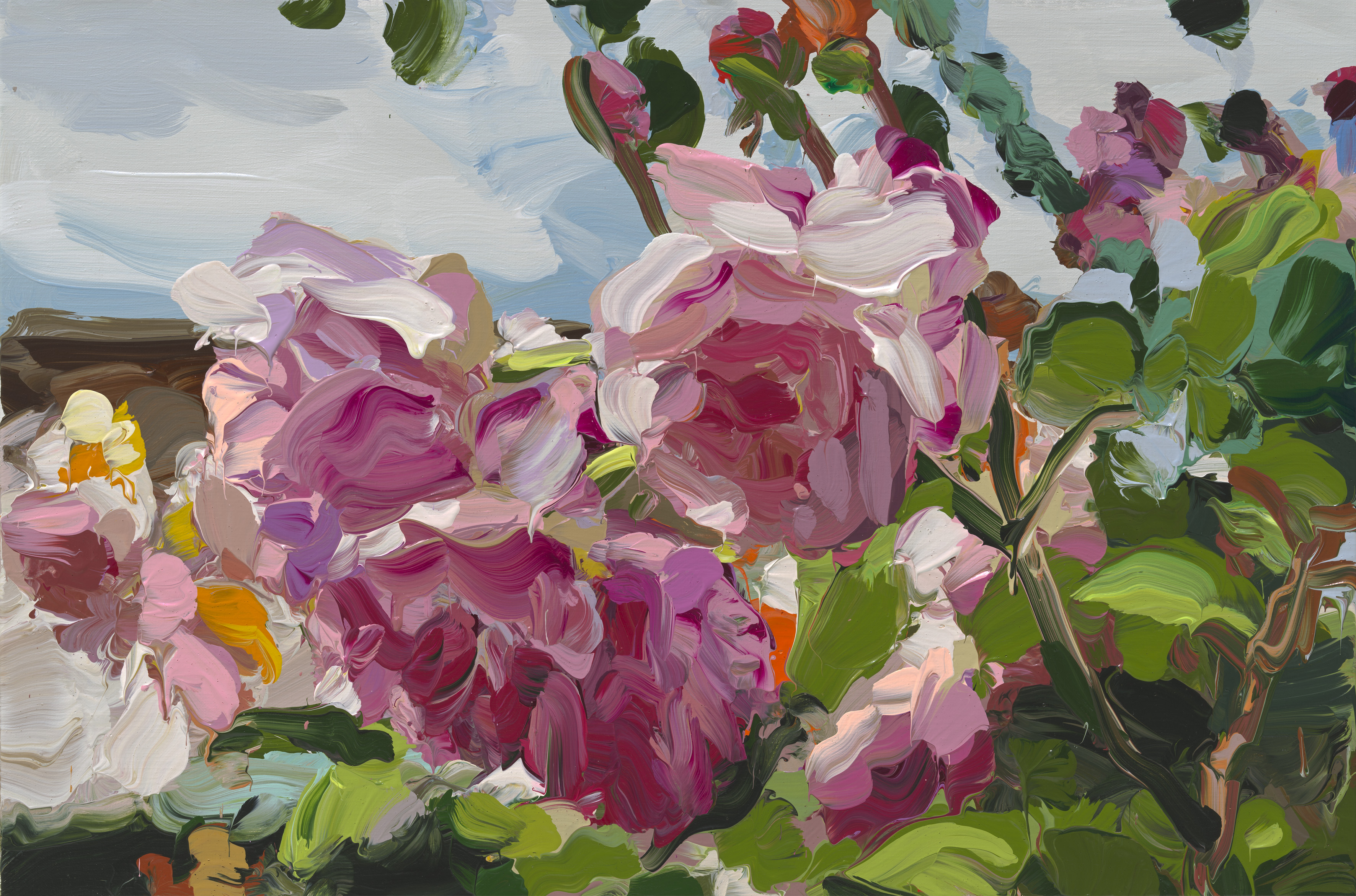 Roses image from 2022