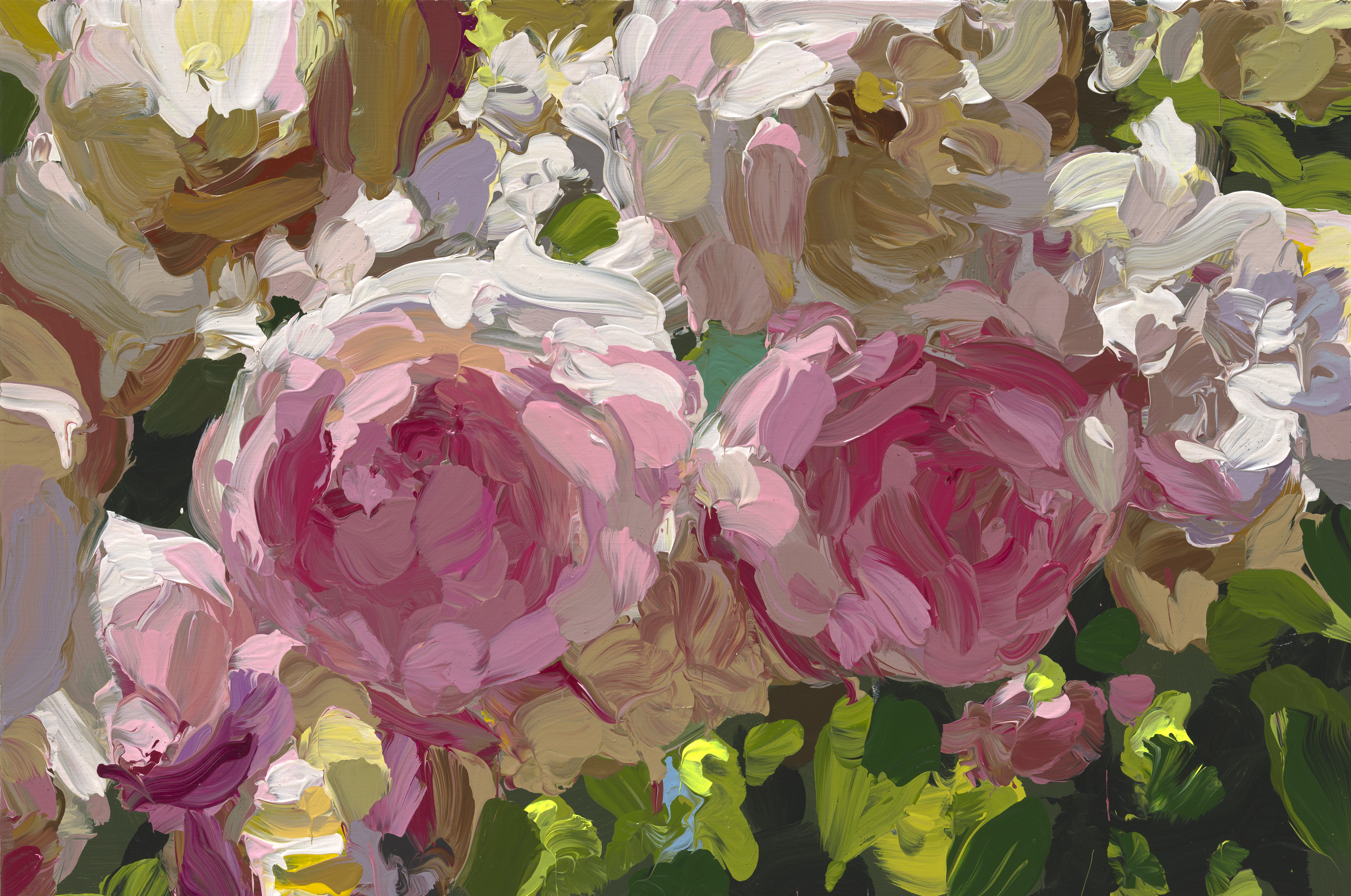 Roses image from 2022