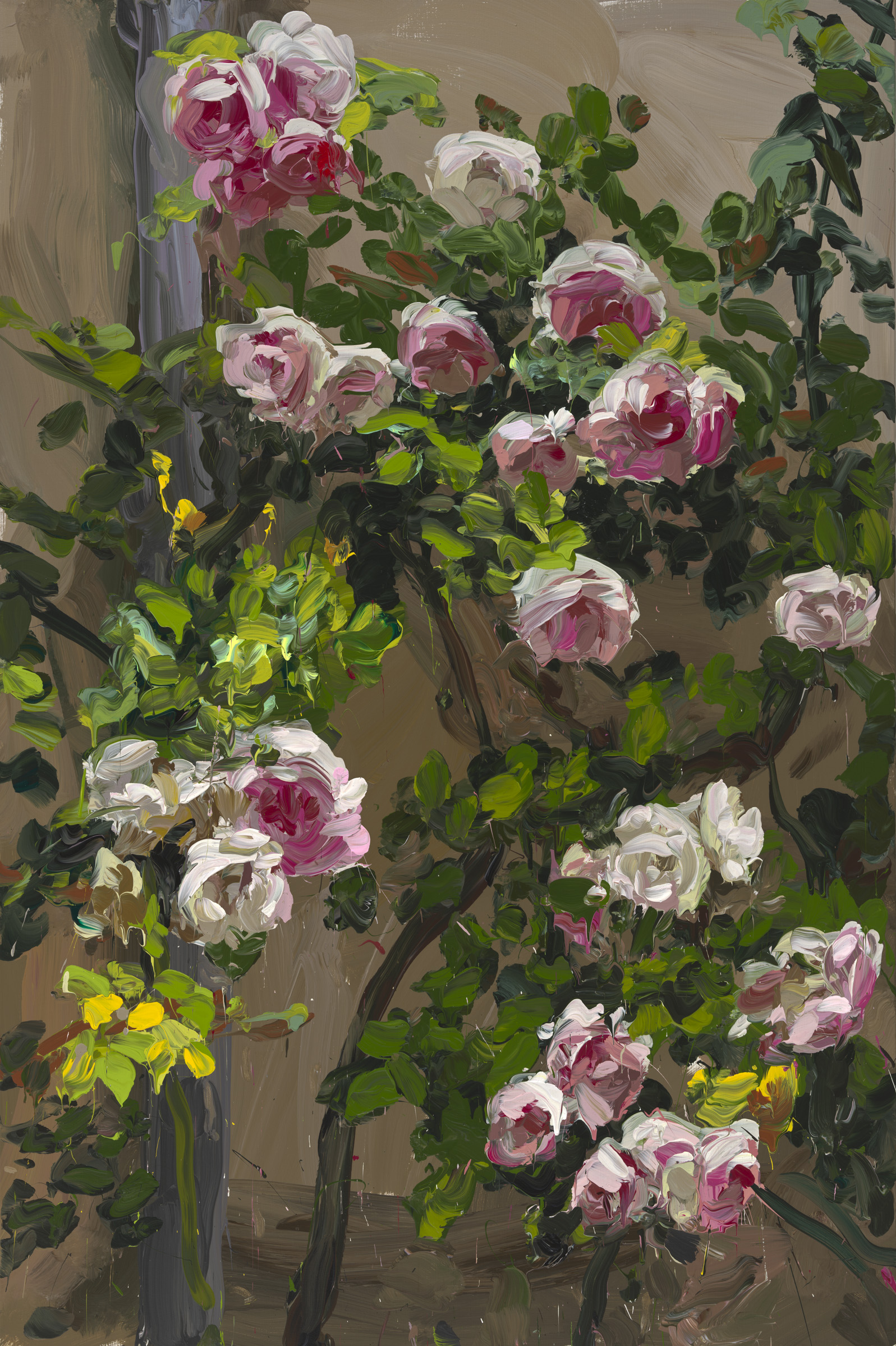 Roses image from 2022