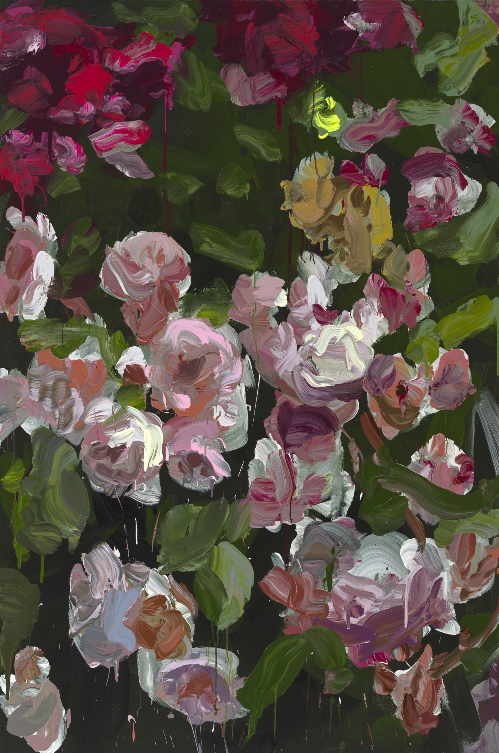 Roses image from 2022