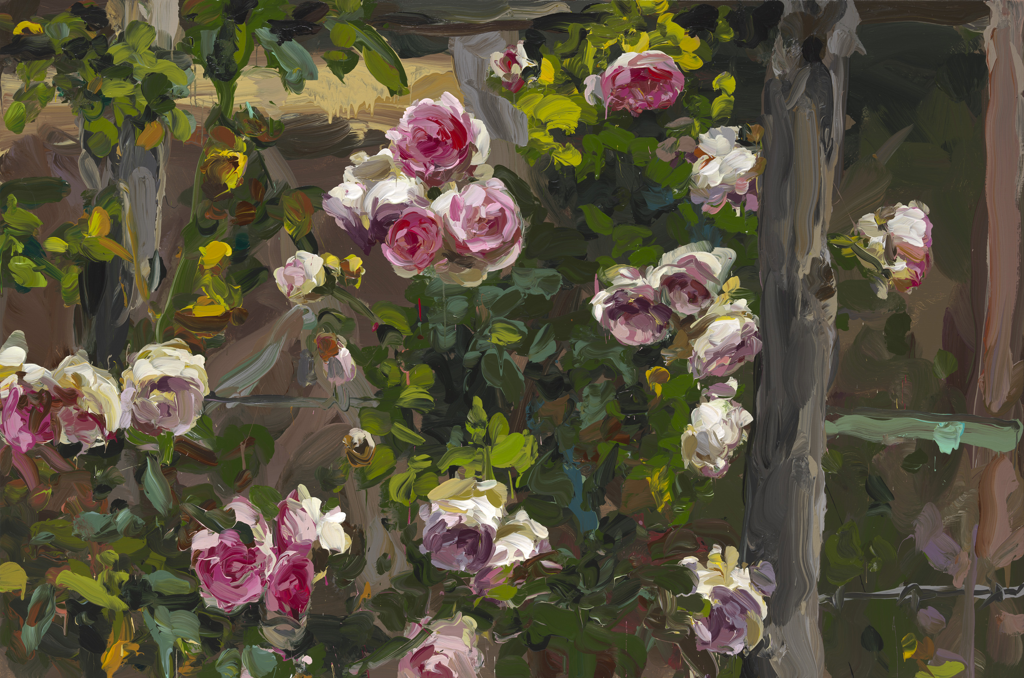 Roses image from 2022
