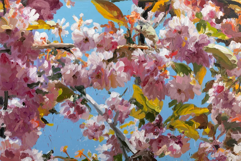 Blossoms